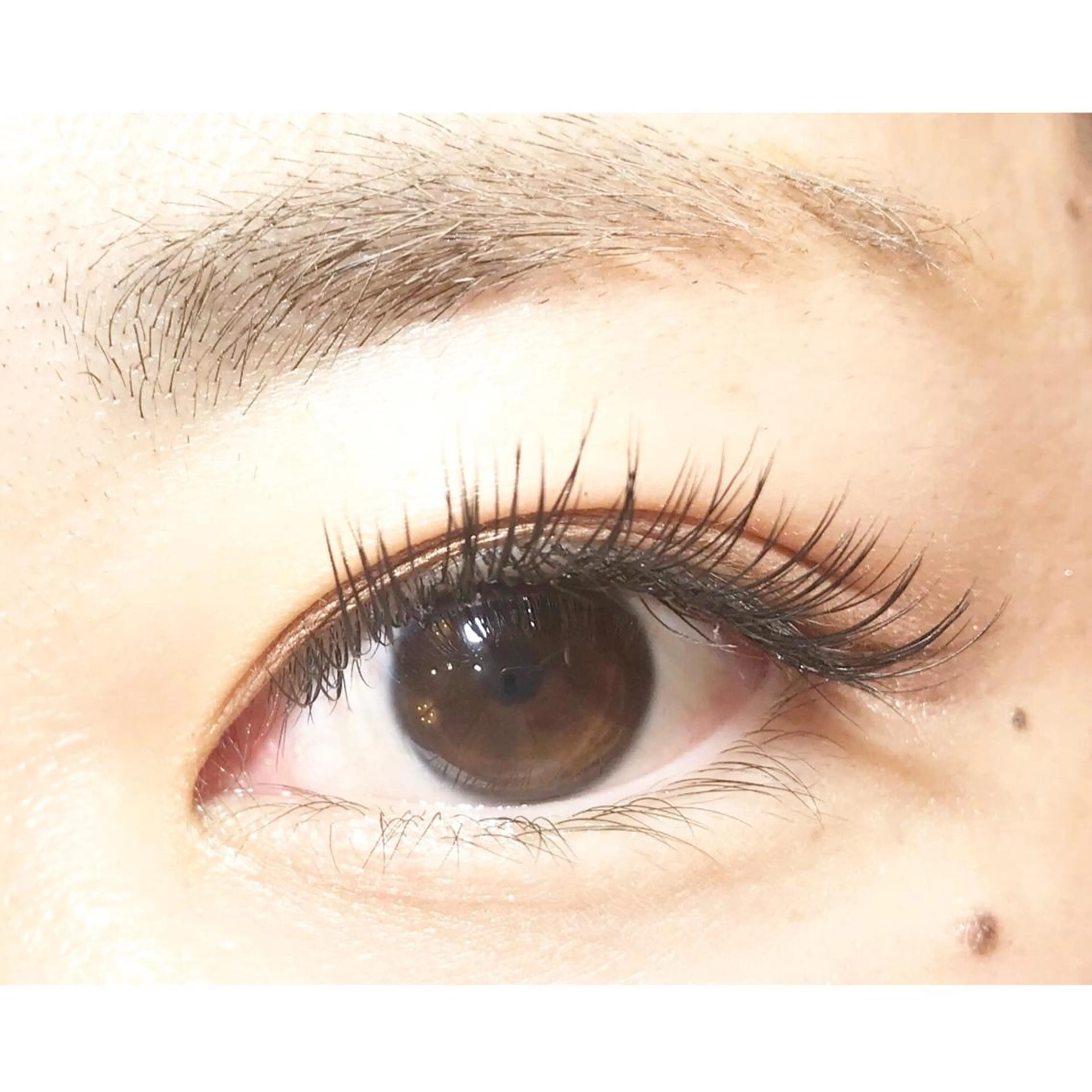 マツエク・マツパ étora eye渋谷のマツエク・マツパデザイン