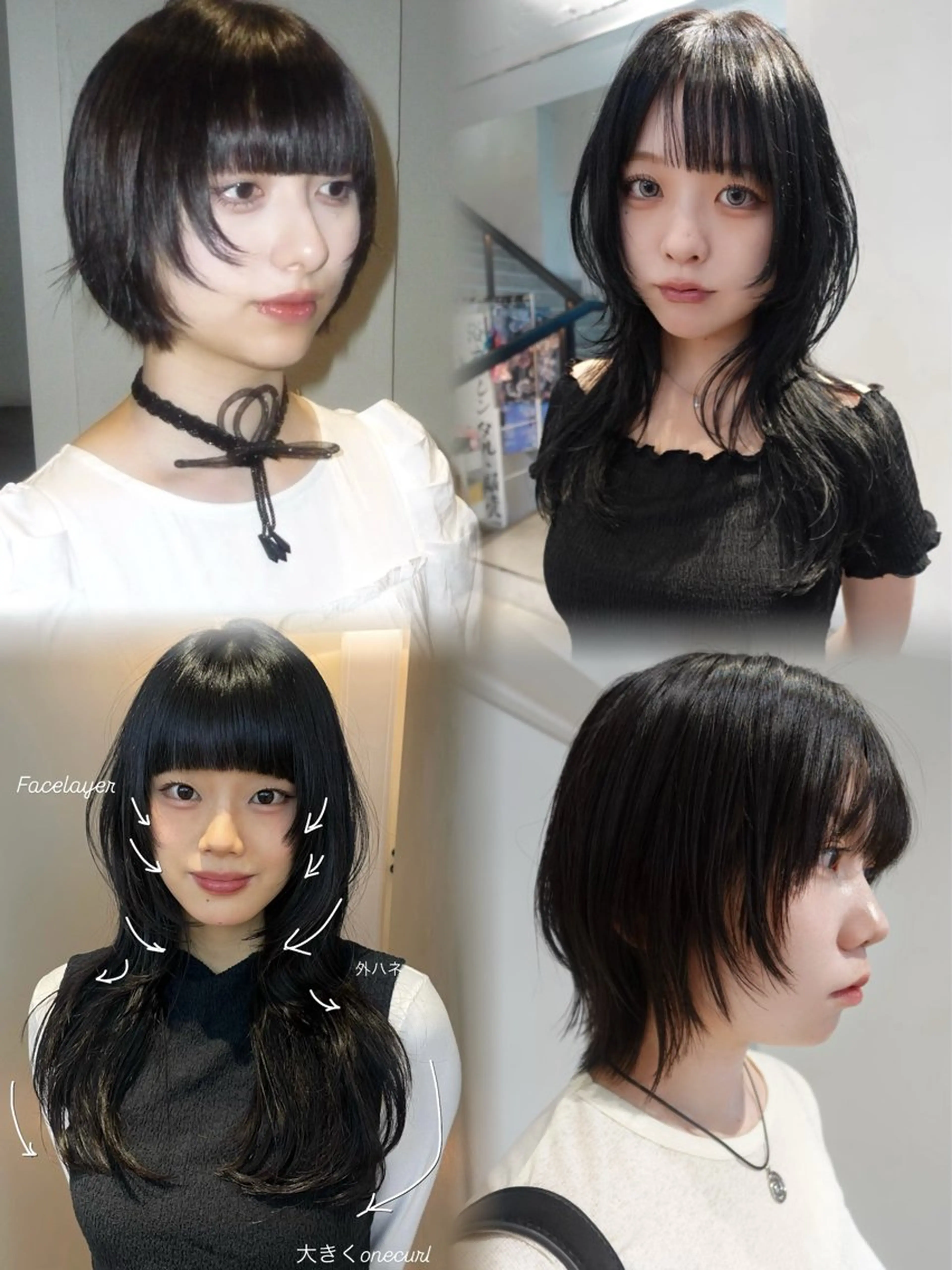 ショート カット カラー🎀ハッシュ レイヤーSENAのヘアスタイル