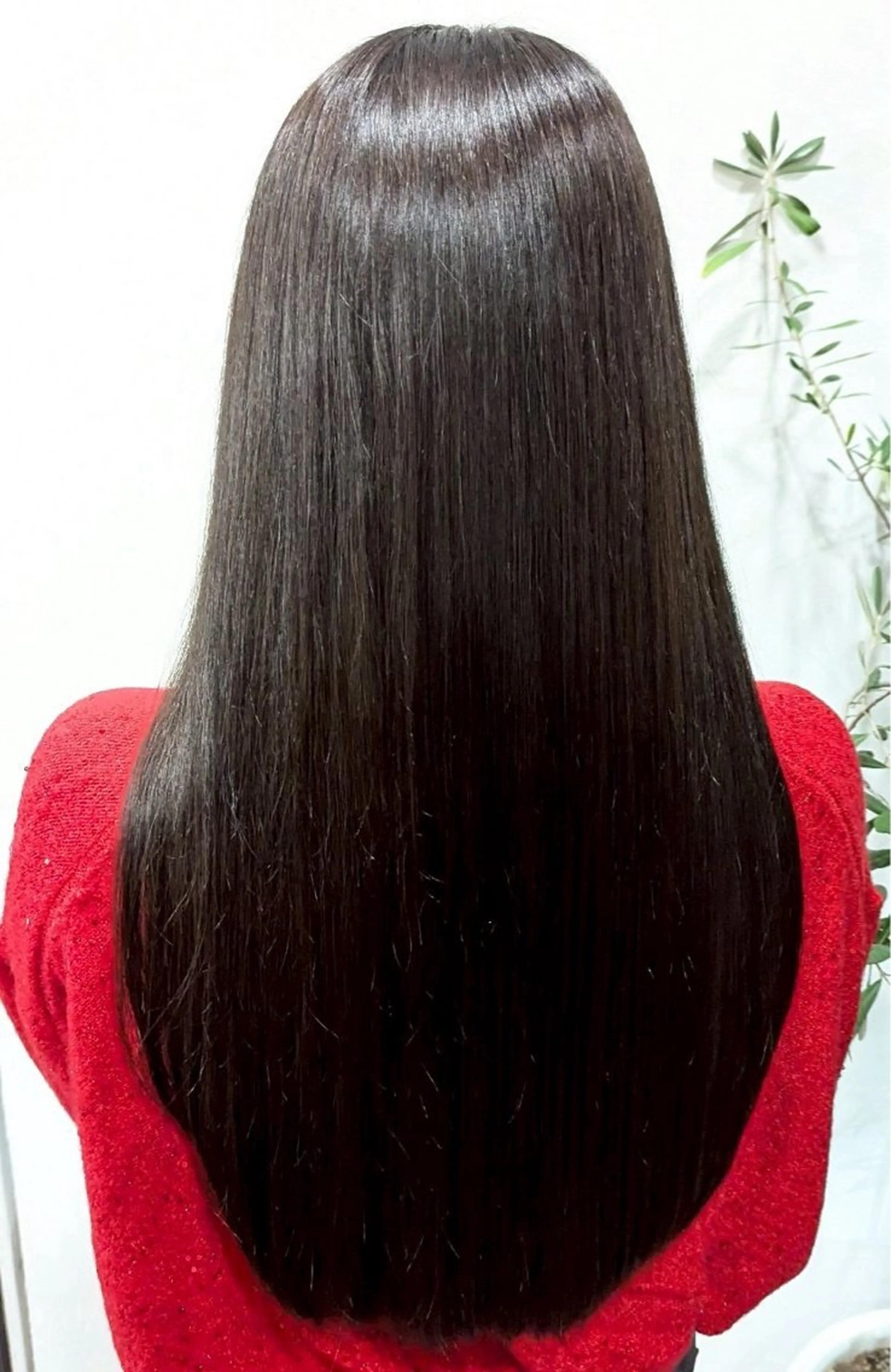 ロング カラー 七海 芽亜利のヘアスタイル