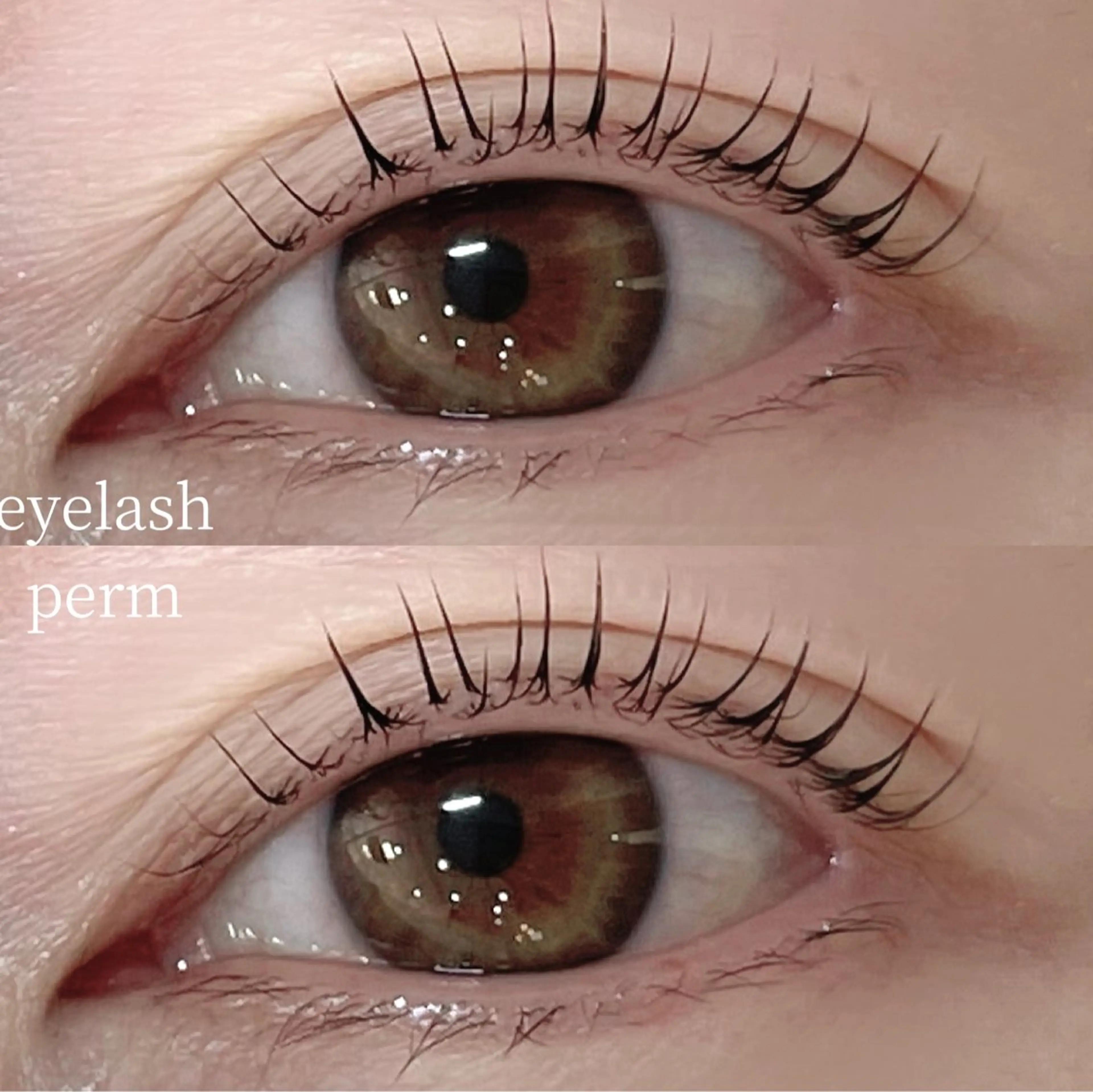 マツエク・マツパ Mon mignon ෆmomokaのマツエク・マツパデザイン