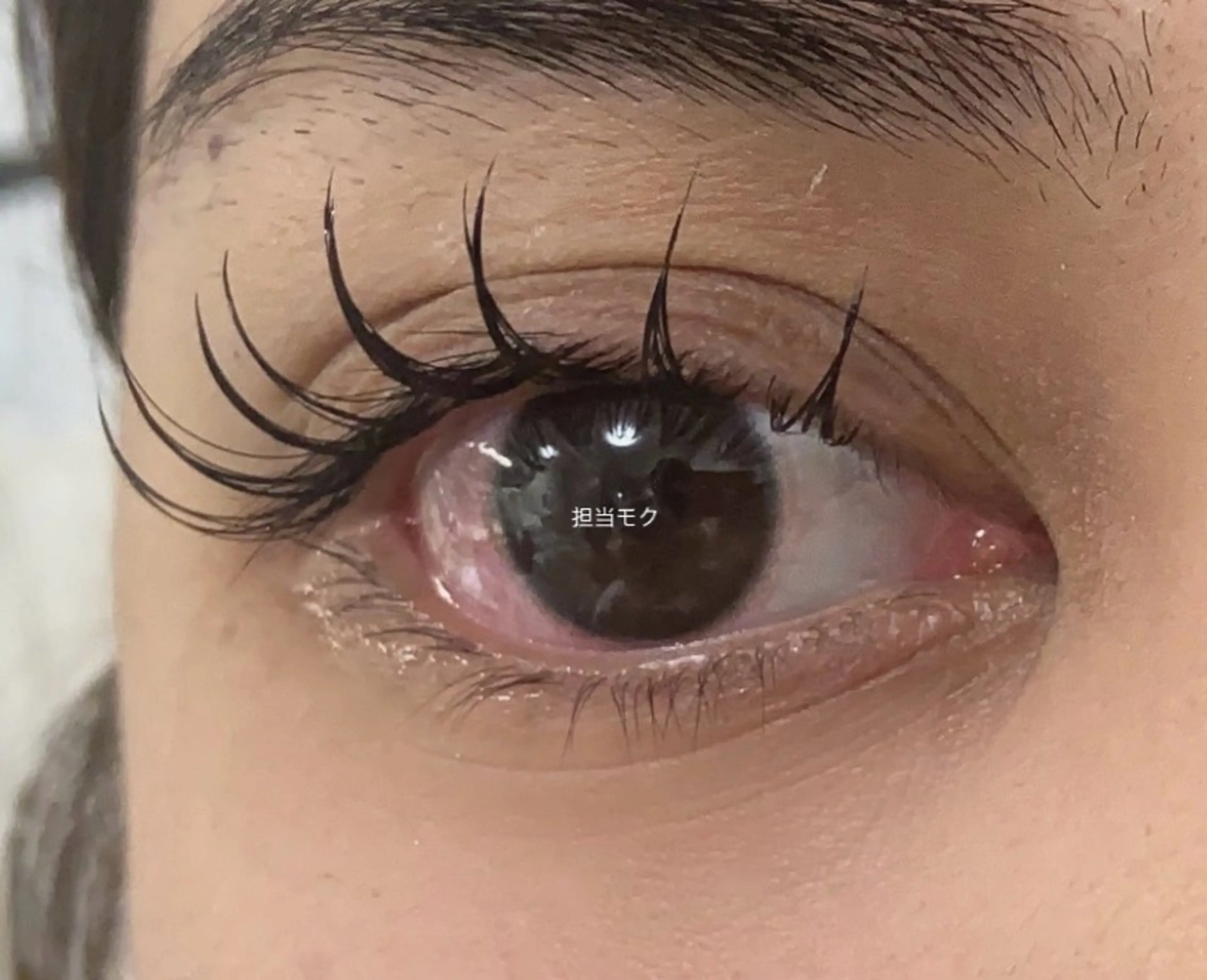 マツエク・マツパ マツエク L・ヒヒアイラッシュ 沐(moku)のマツエク・マツパデザイン