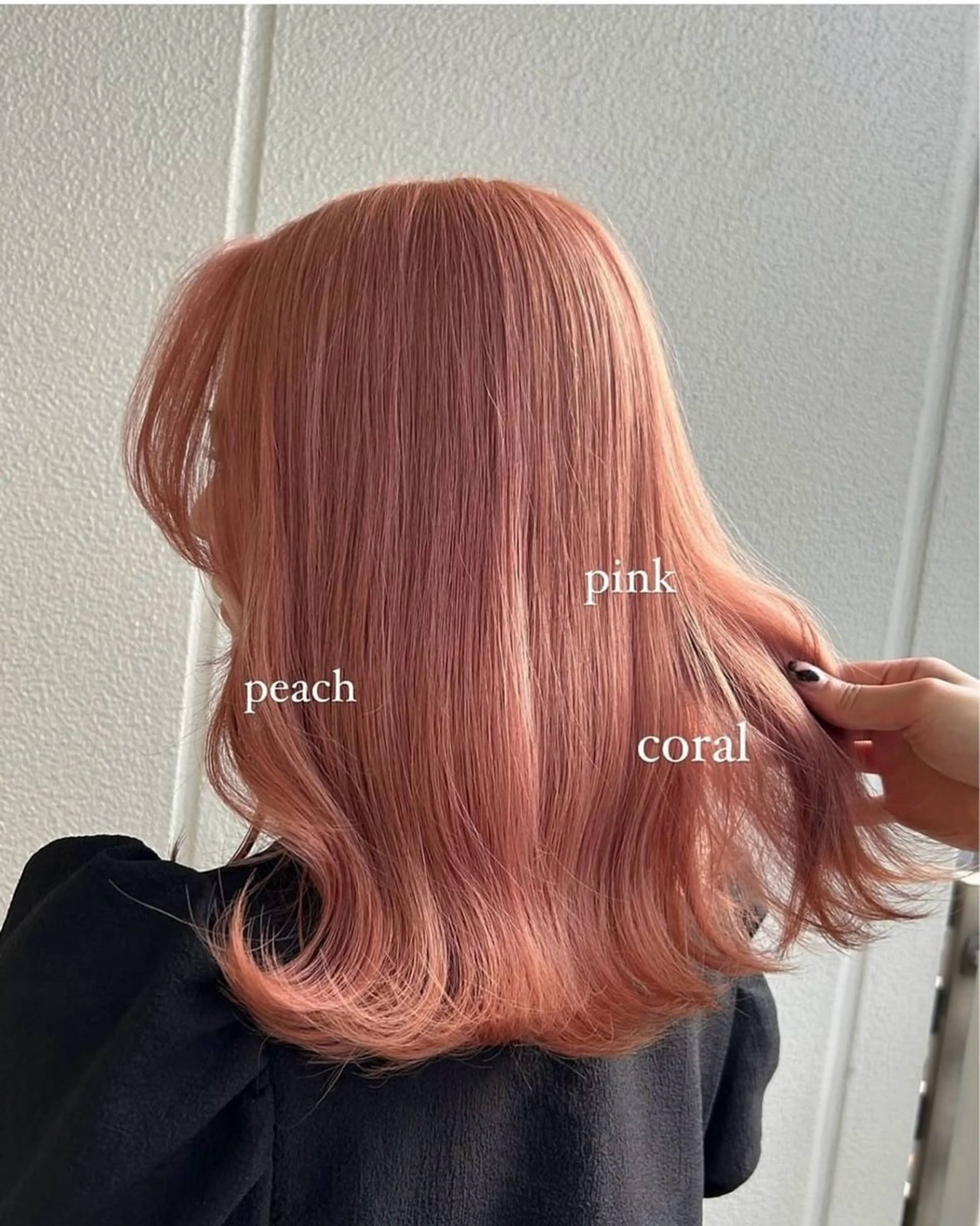 ミディアム カラー ピンクカラー 《暖色/韓国hair 》🇰🇷桑原ユキネのヘアスタイル