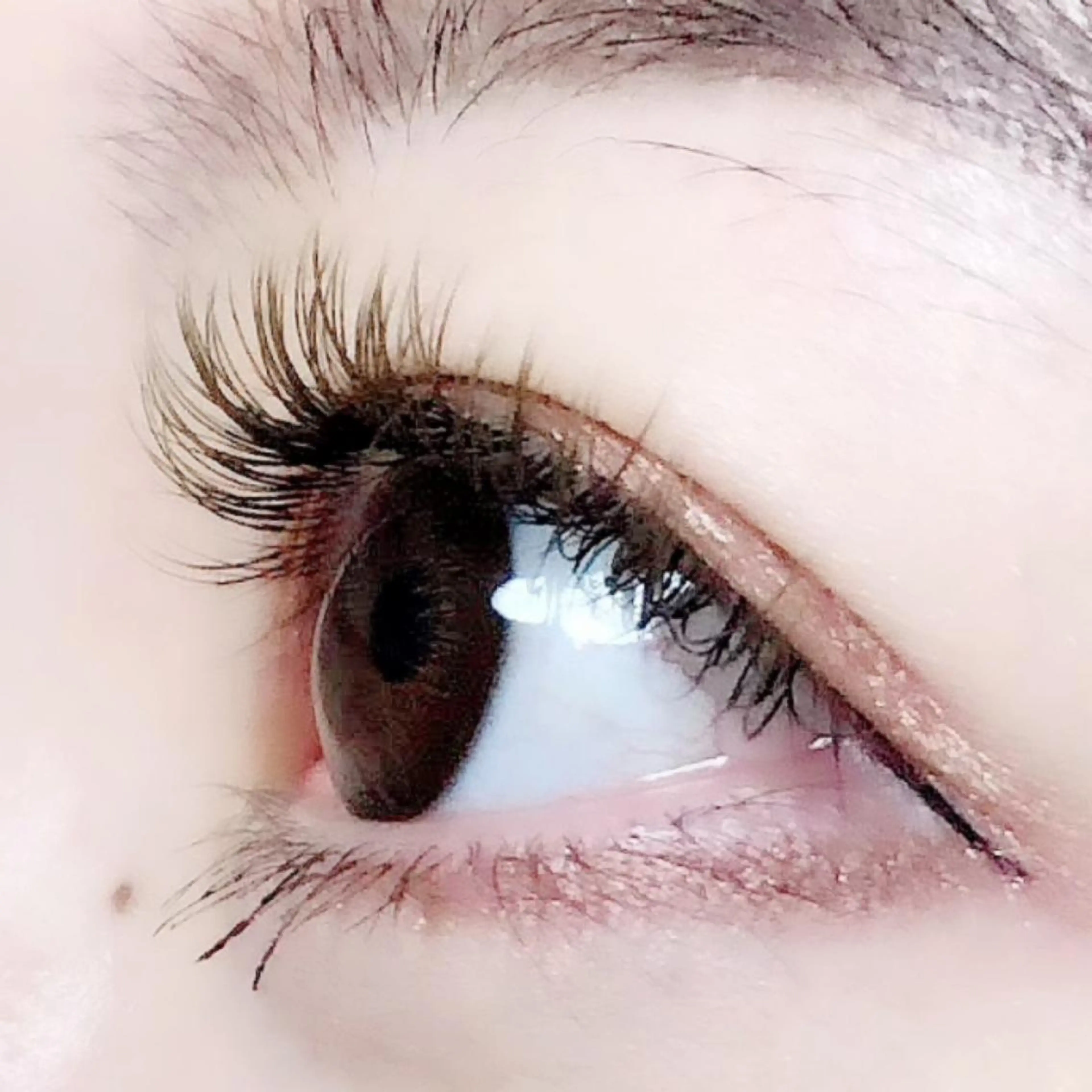 マツエク・マツパ Hase　本八幡 🧸マツエク専門🧸のマツエク・マツパデザイン