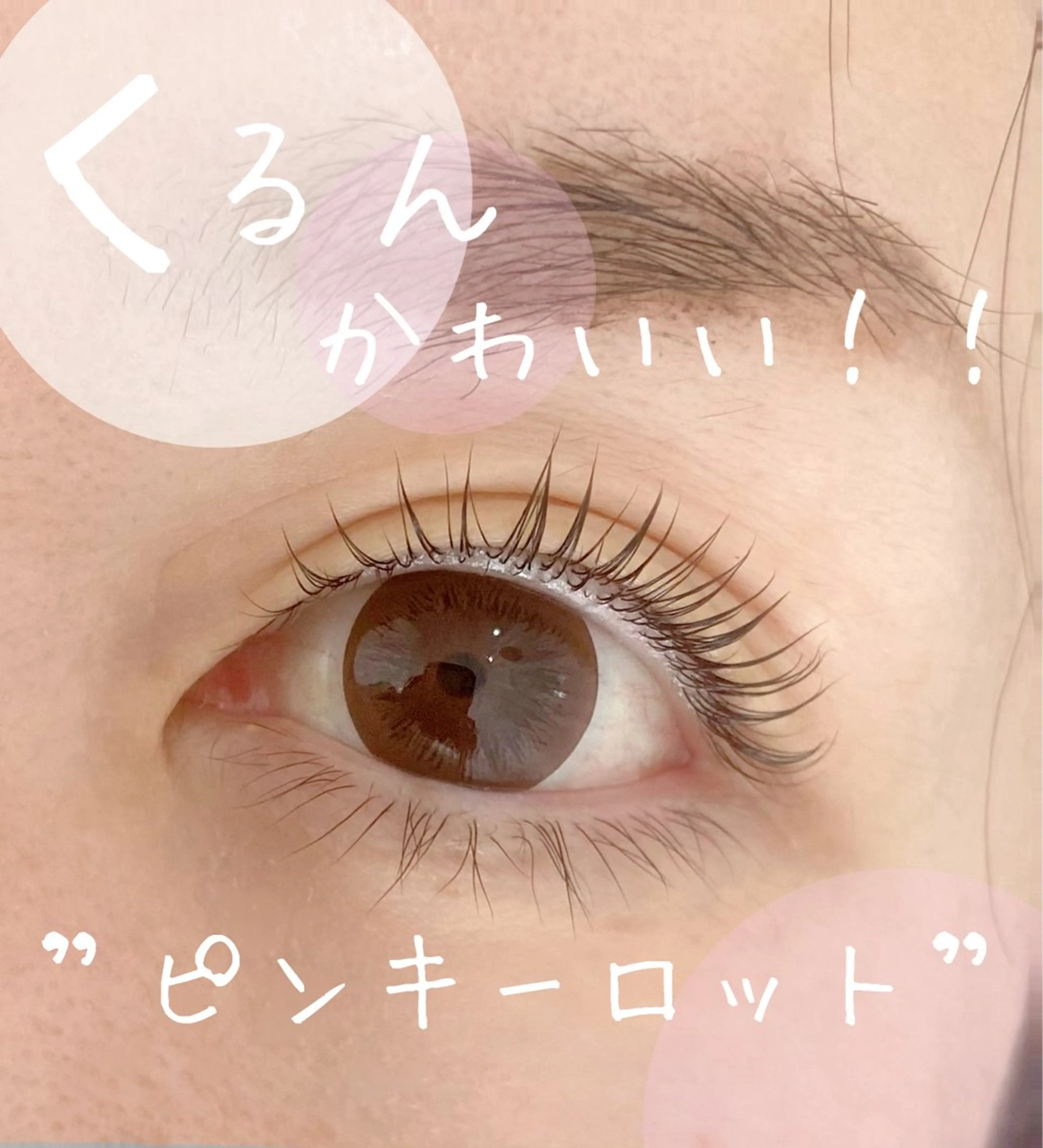 マツエク・マツパ 一重×まつ毛パーマ サニーヒルズ藤沢店 島仲のマツエク・マツパデザイン
