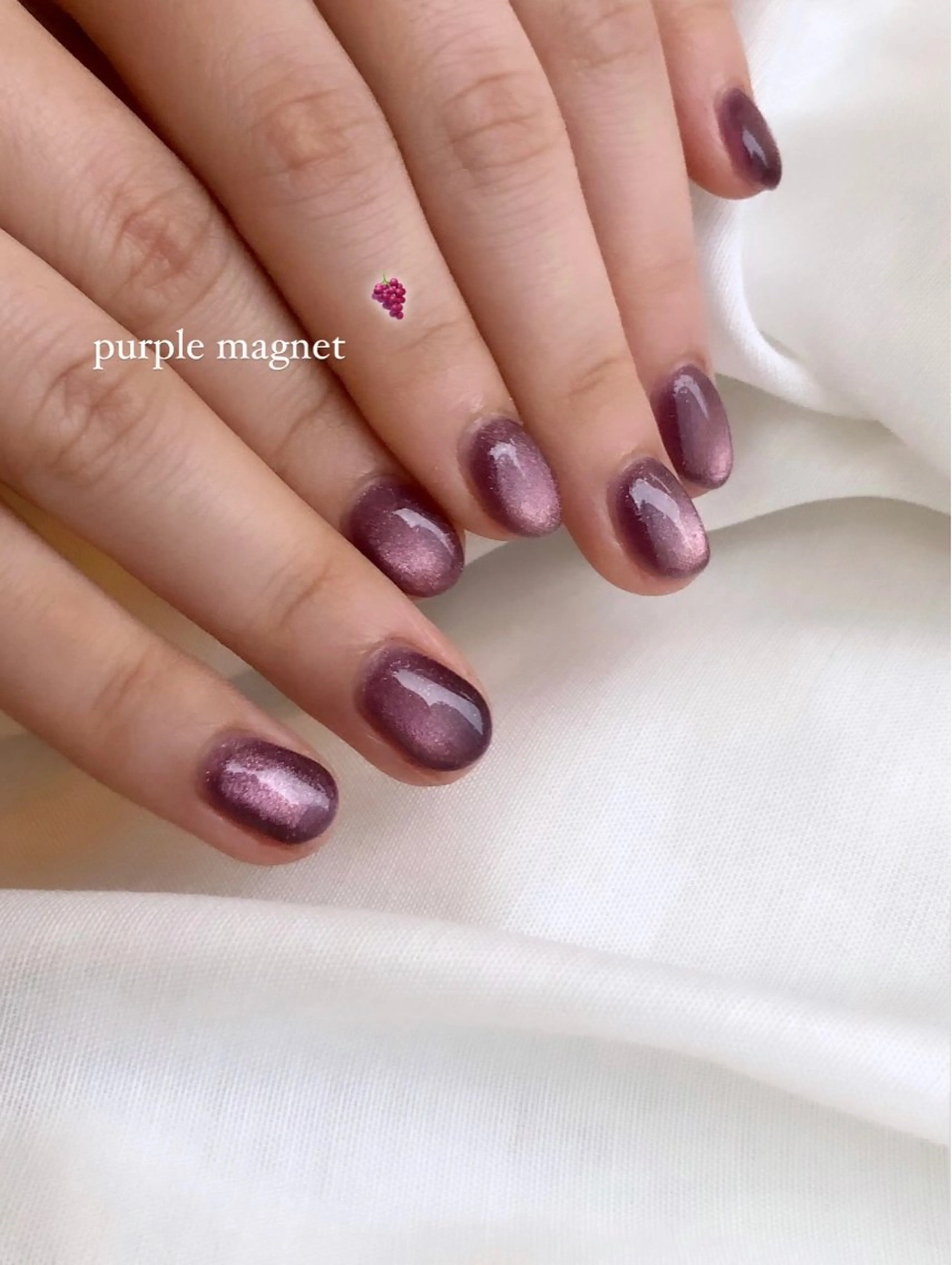 ネイル マグネットネイル パープル Rich+nail Mayuのネイルデザイン