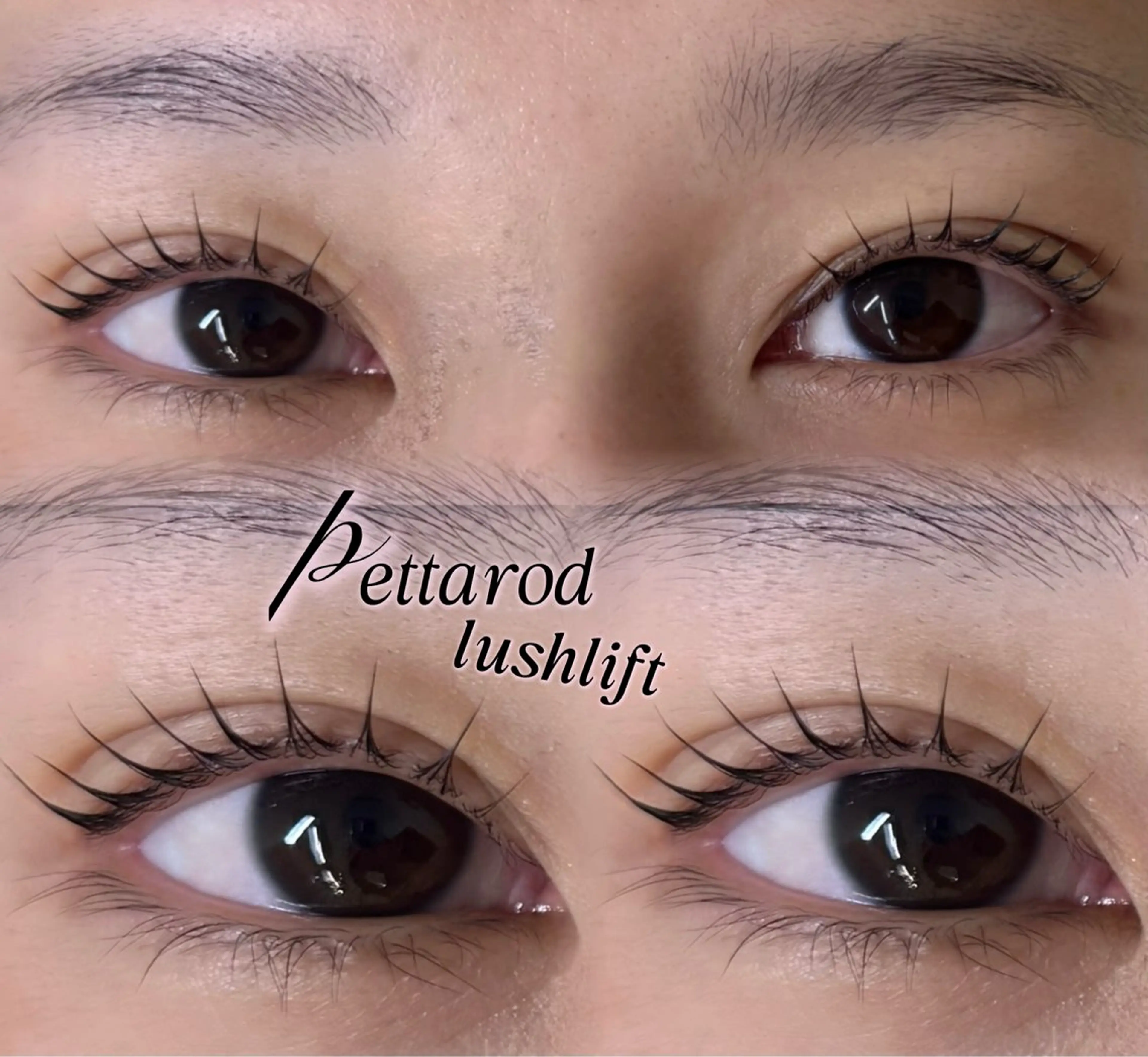 マツエク・マツパ eye mor.刈谷店所属・ユラ🐈‍⬛ eye mor.の眉毛・アイブロウイメージ
