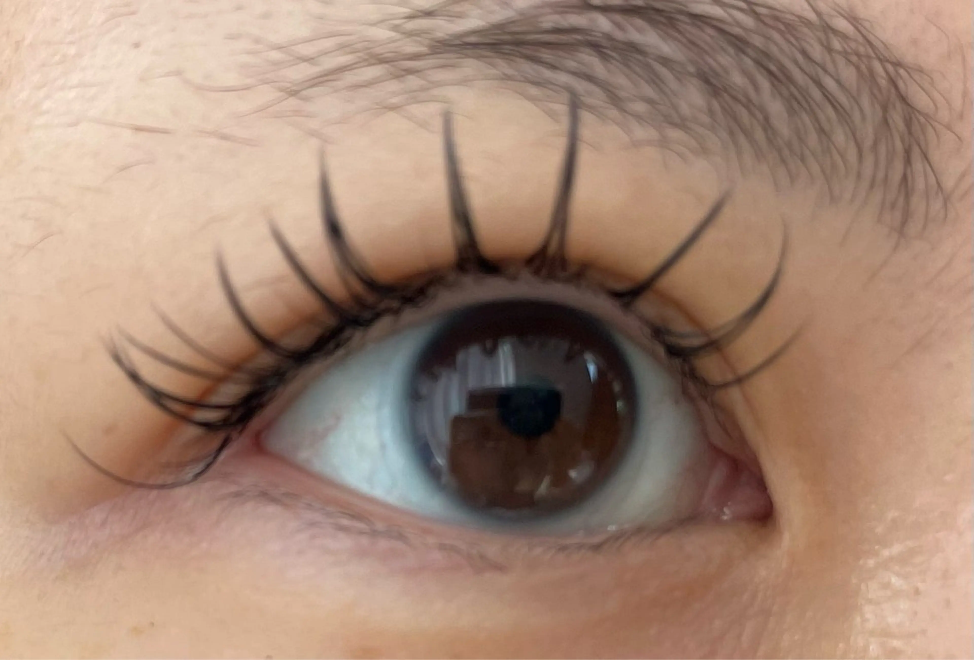 【当店ジュニアアイリストメニュー】ダブルフラットラッシュ100束【モデル大募集】の写真