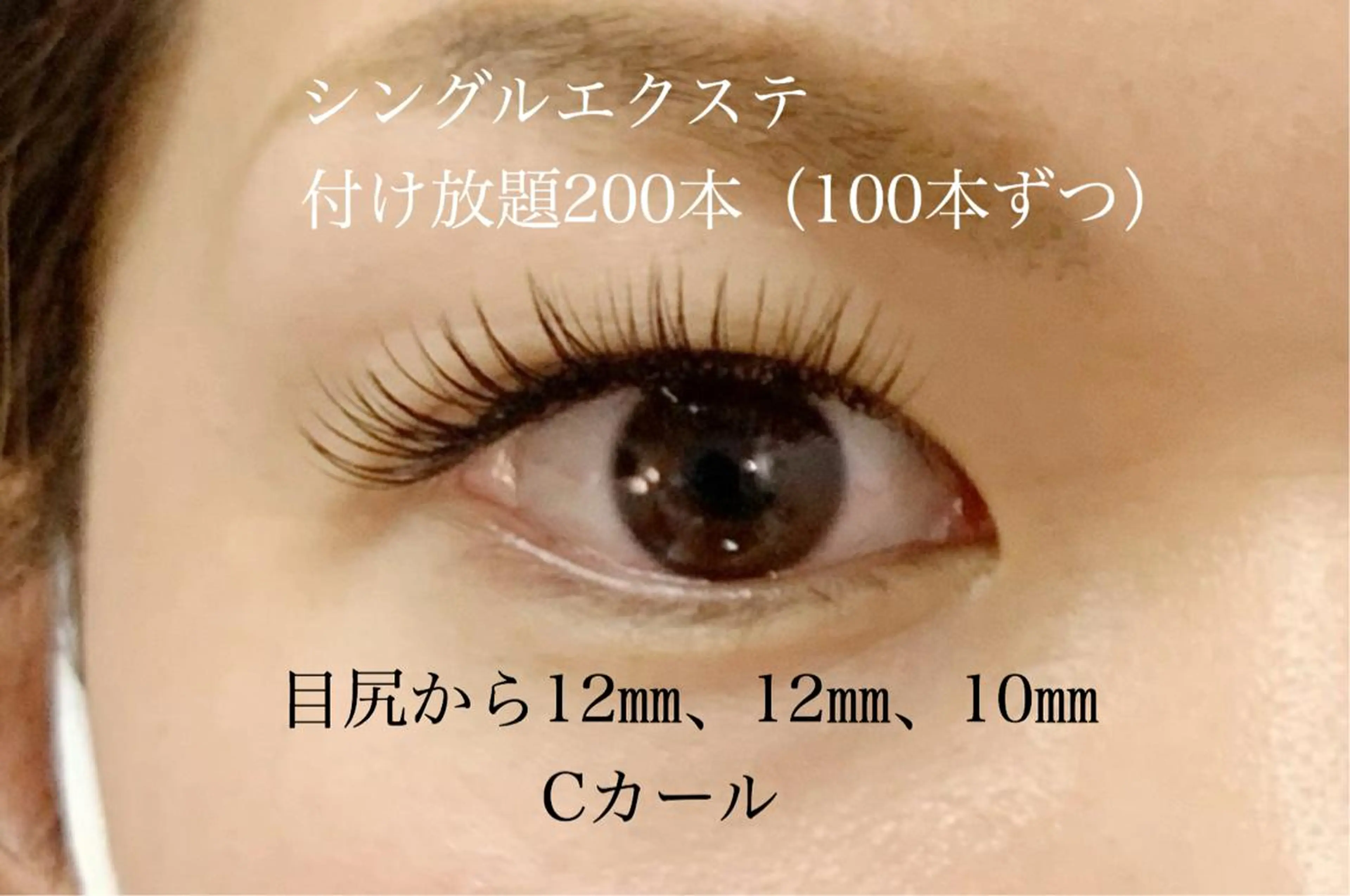 マツエク・マツパ 付け放題 フラットラッシュ Cia (シア)所属・AYAKA ICHIHARAの眉毛・アイブロウイメージ