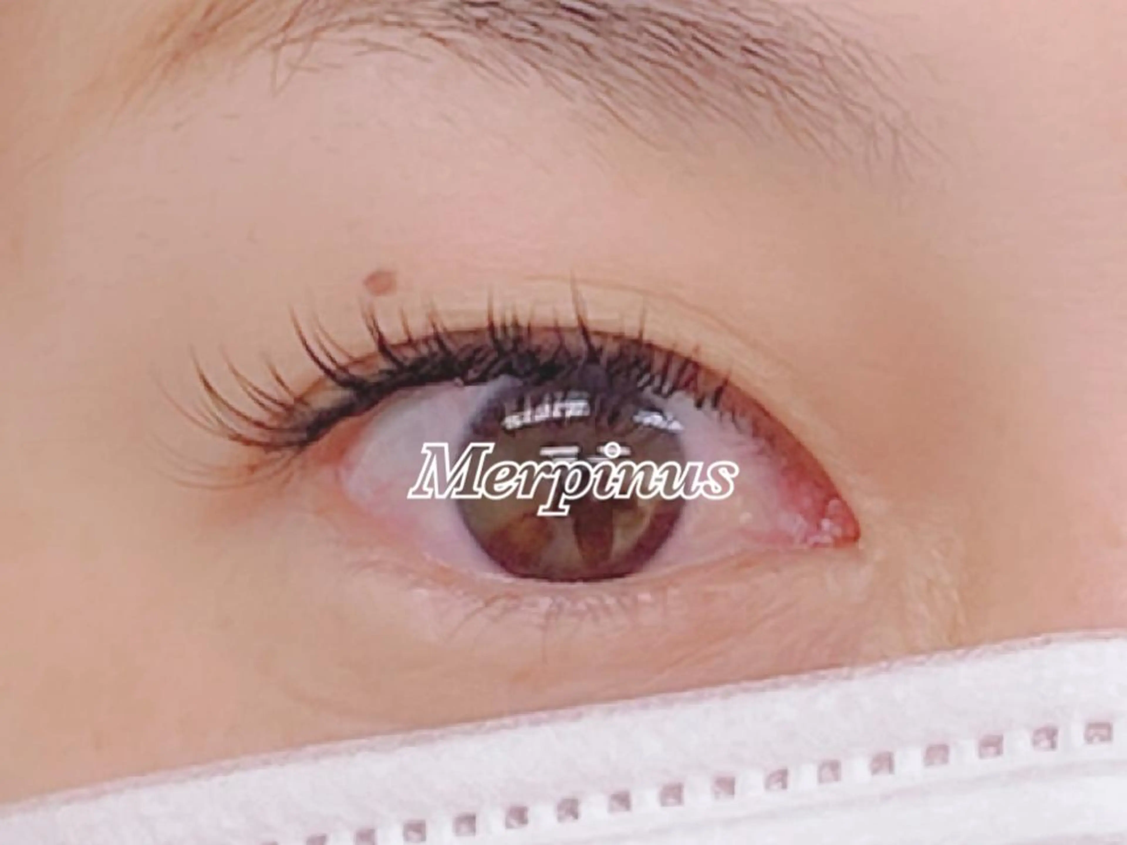 マツエク・マツパ フラットラッシュ Eyelash salon kukuna所属・まつ毛サロン Kukunaのマツエク・マツパデザイン