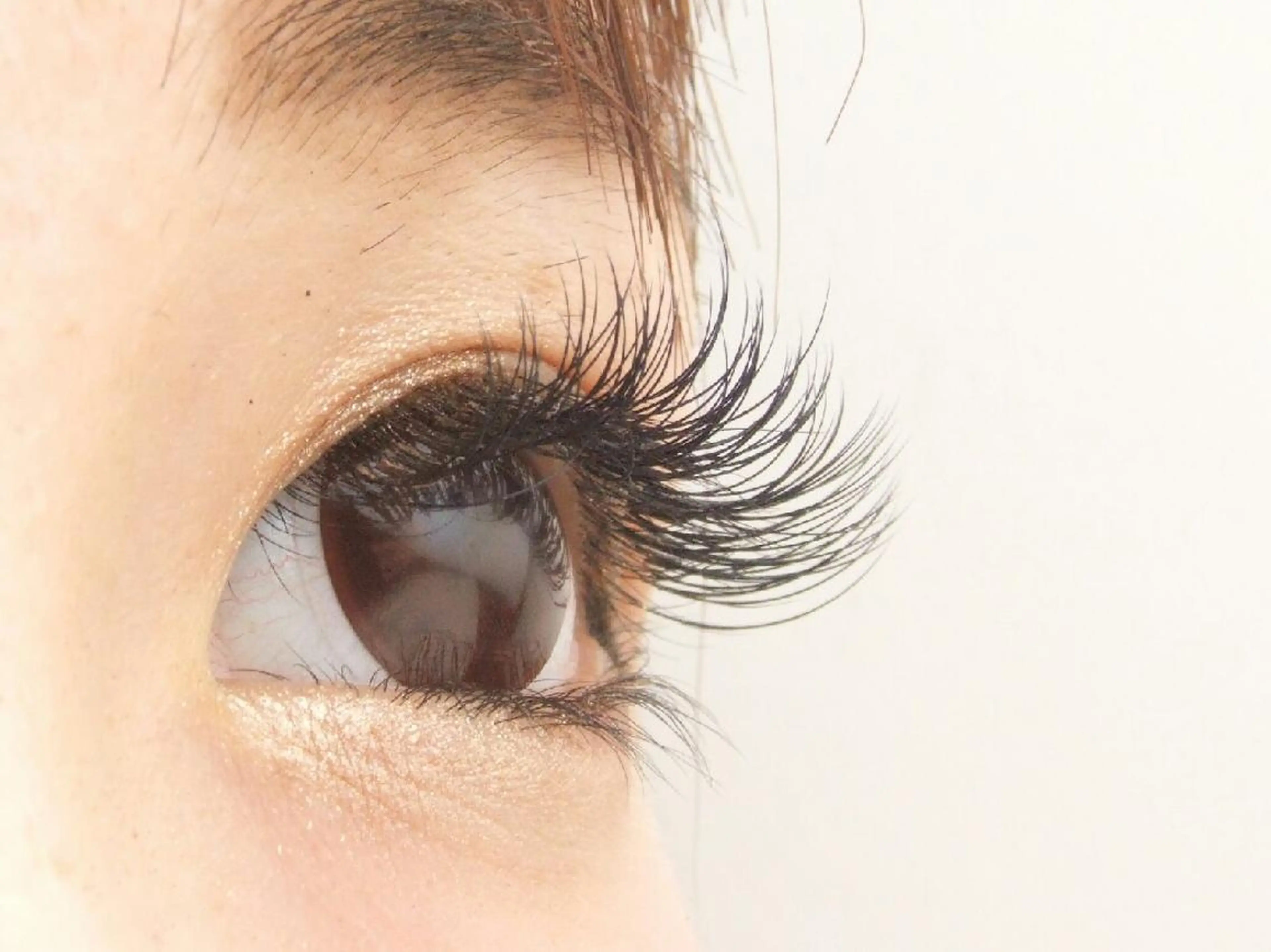 マツエク・マツパ Dカール mist-Nail&Eyelash-所属・mist Mineのマツエク・マツパデザイン