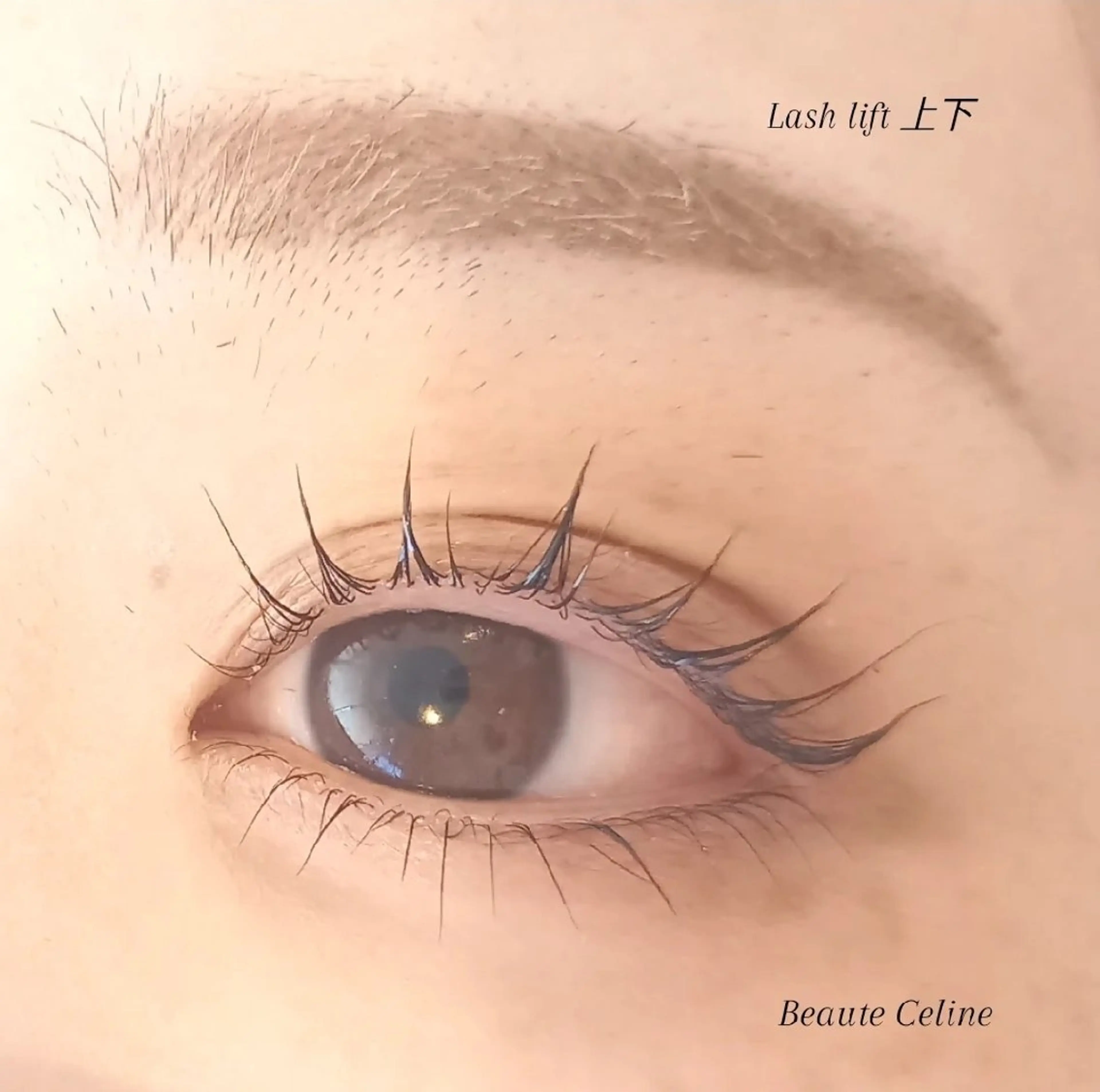 マツエク・マツパ マツパ beaute.celine所属・&healthy💜 ﾎﾞｰﾃCelineのマツエク・マツパデザイン