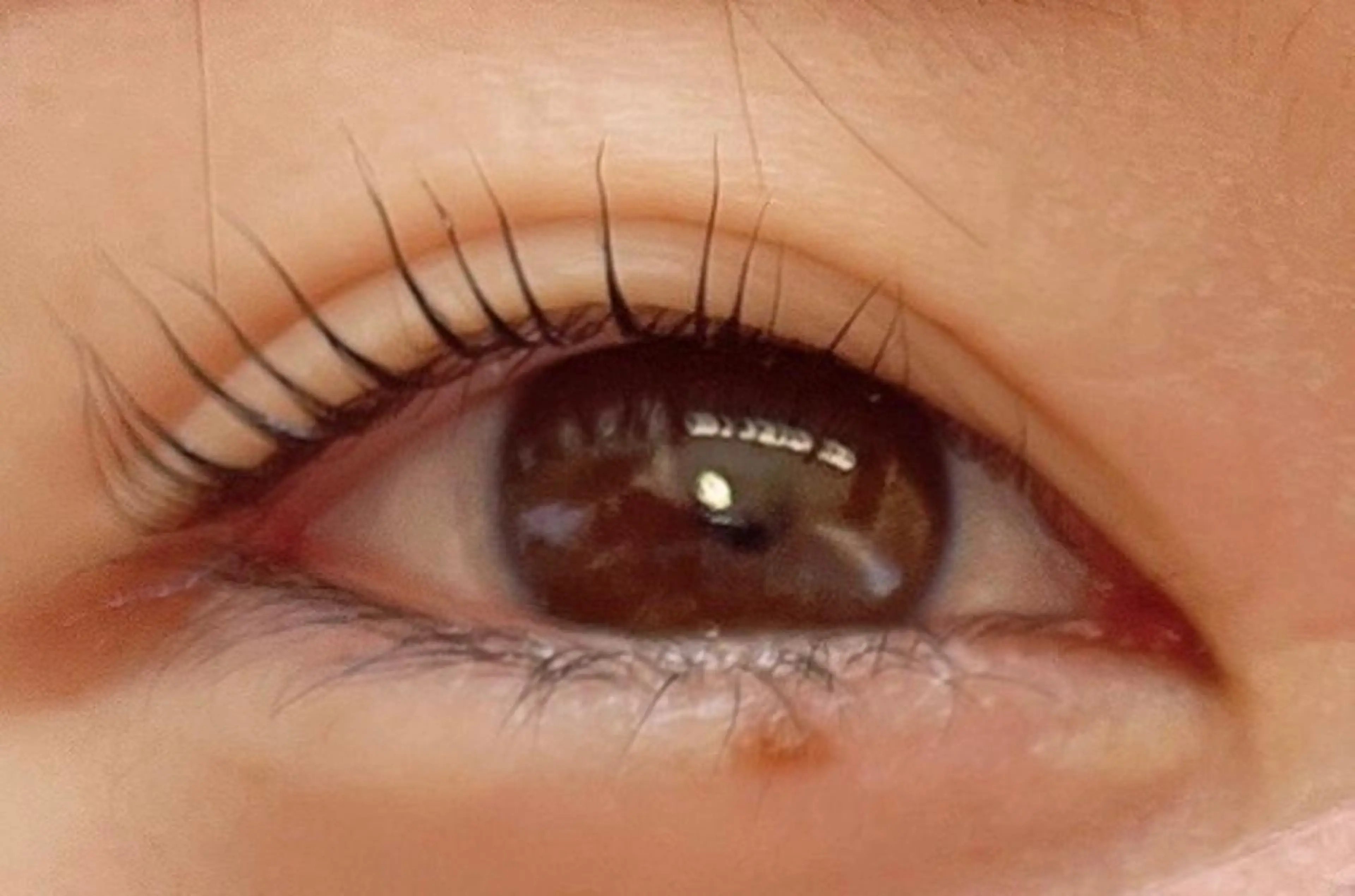 マツエク・マツパ まつげパーマ handsemu EYELASHの眉毛・アイブロウイメージ