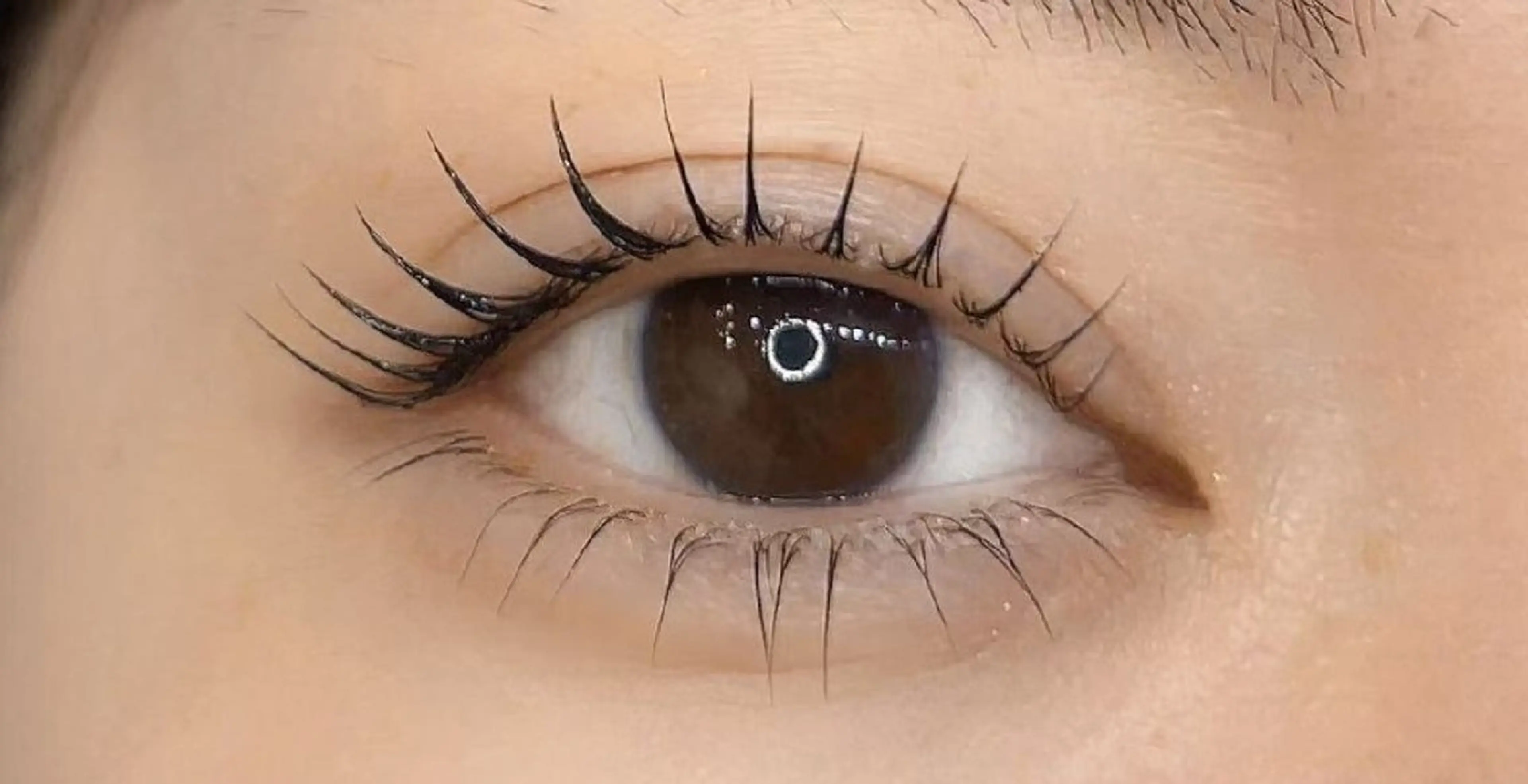 マツエク・マツパ アレグレス所属・アレグレス@池袋 🌹大人気店🌹のマツエク・マツパデザイン