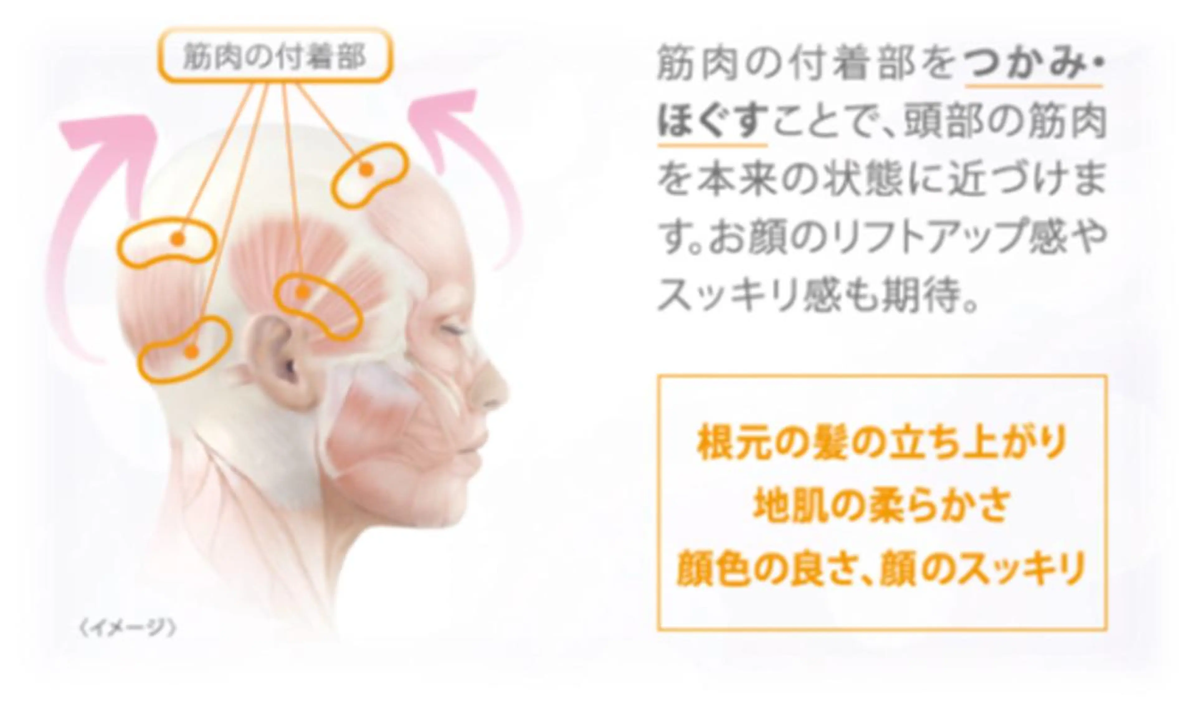 Amel hairのヘアスタイル