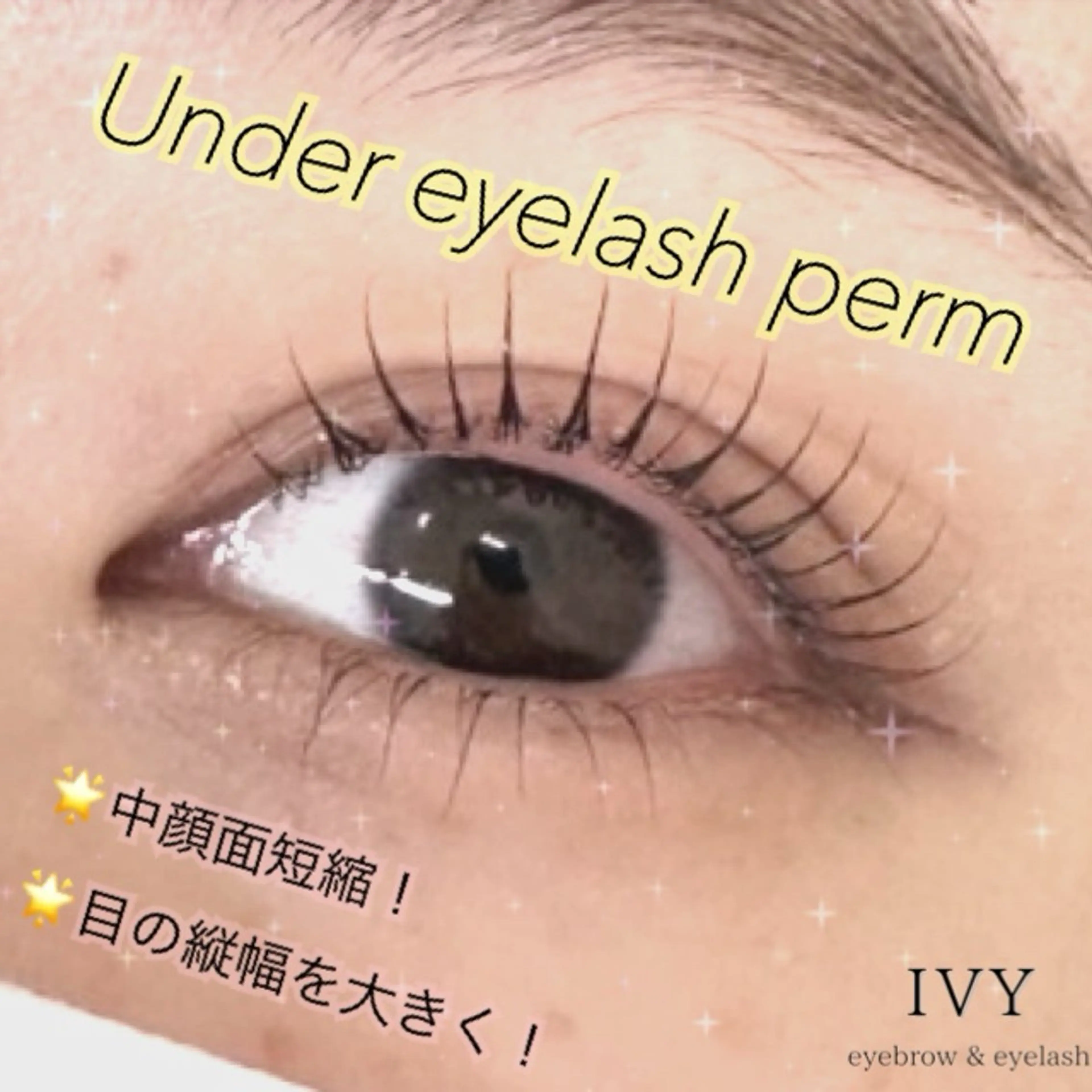 マツエク・マツパ IVY ~eyebrow&eyelash~ 稲田堤店所属・IVY調布店 Harのマツエク・マツパデザイン