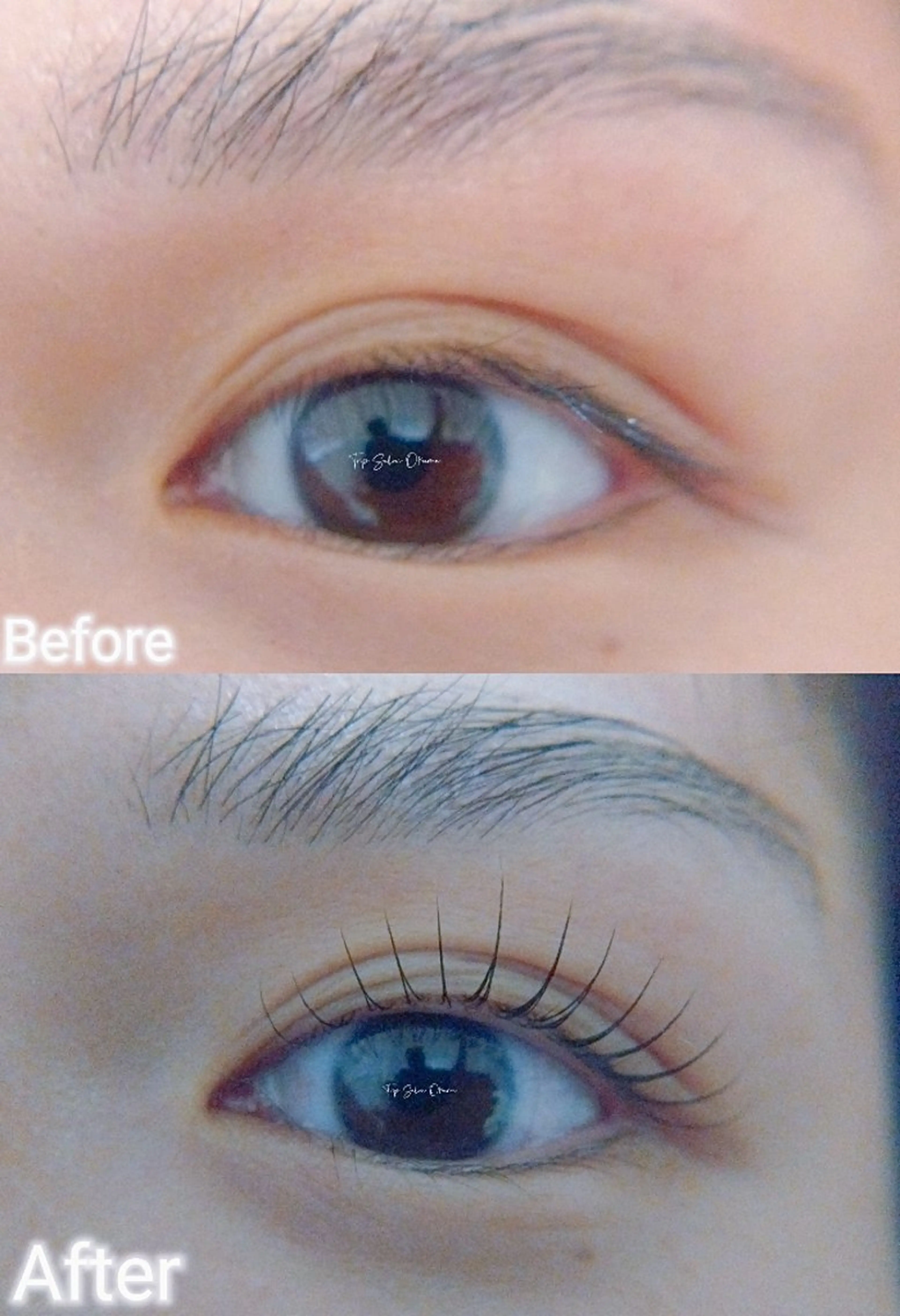 マツエク・マツパ Trip Salon Okuma所属・❤LEDまつぱ❤那覇 🅿️有、泉崎のマツエク・マツパデザイン