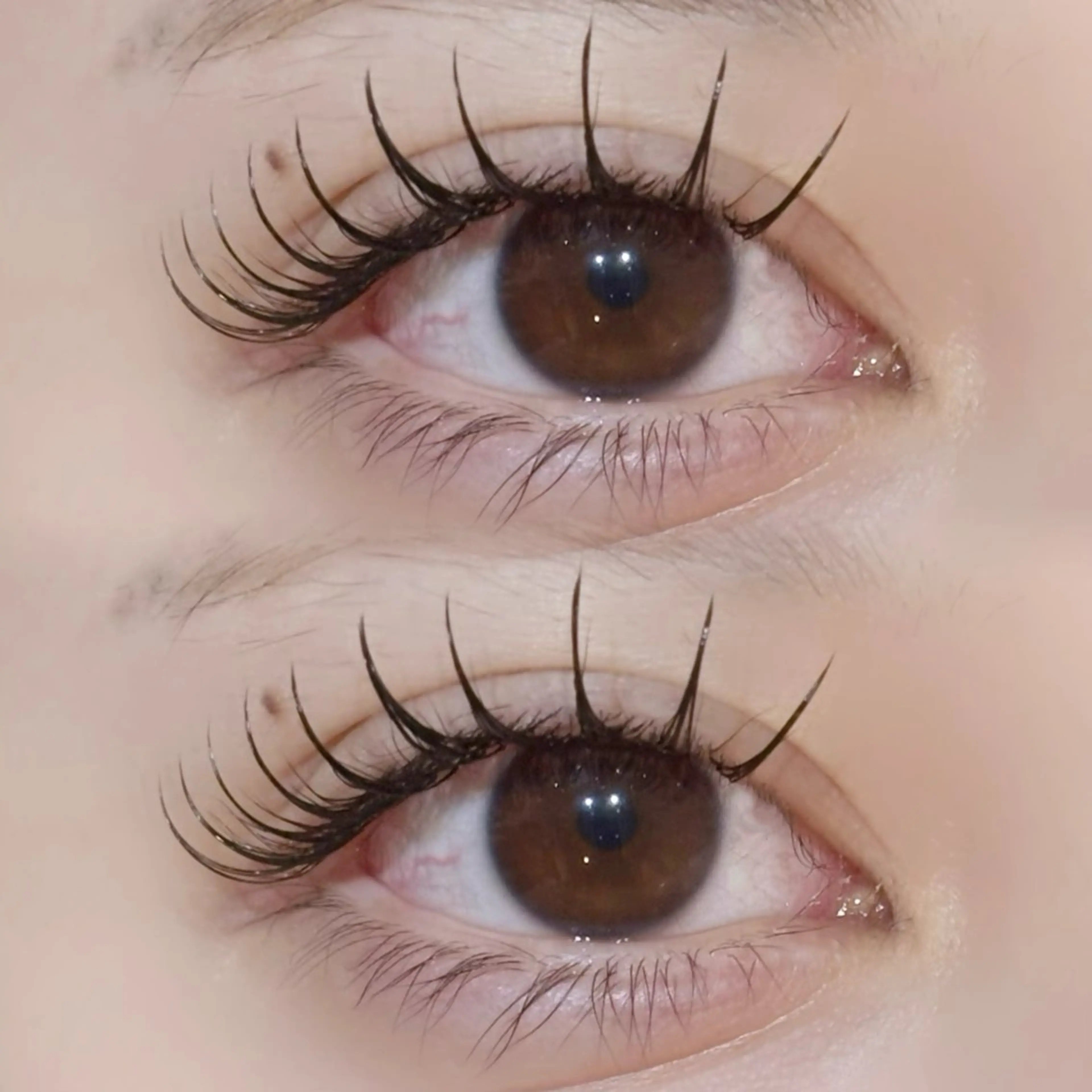 マツエク・マツパ EYELA🤍 蓜島のマツエク・マツパデザイン