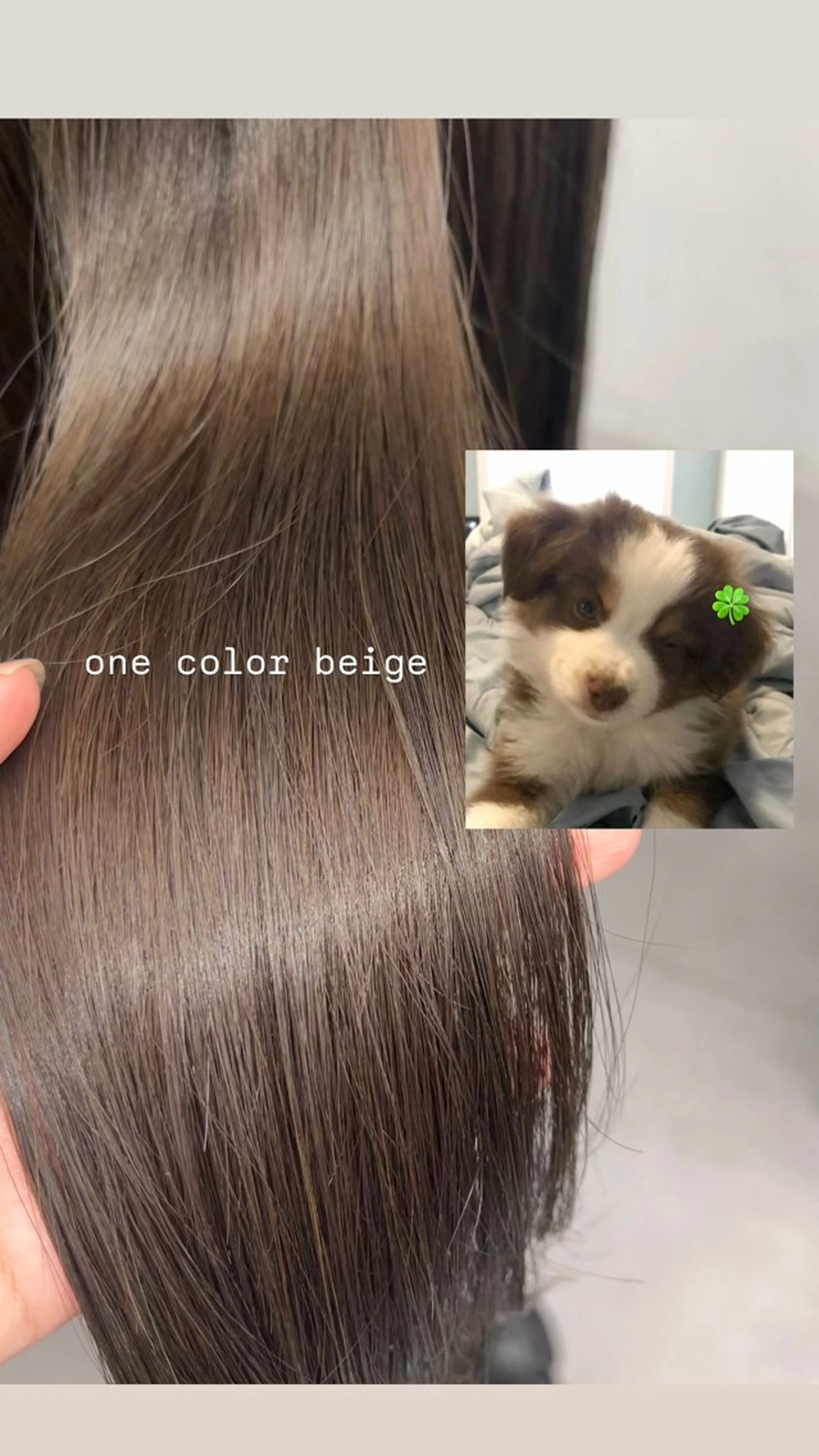 ミディアム カラー ダブルカラー ヘアカラー トリートメント kosora/ ハイトーン/ベージュのヘアスタイル