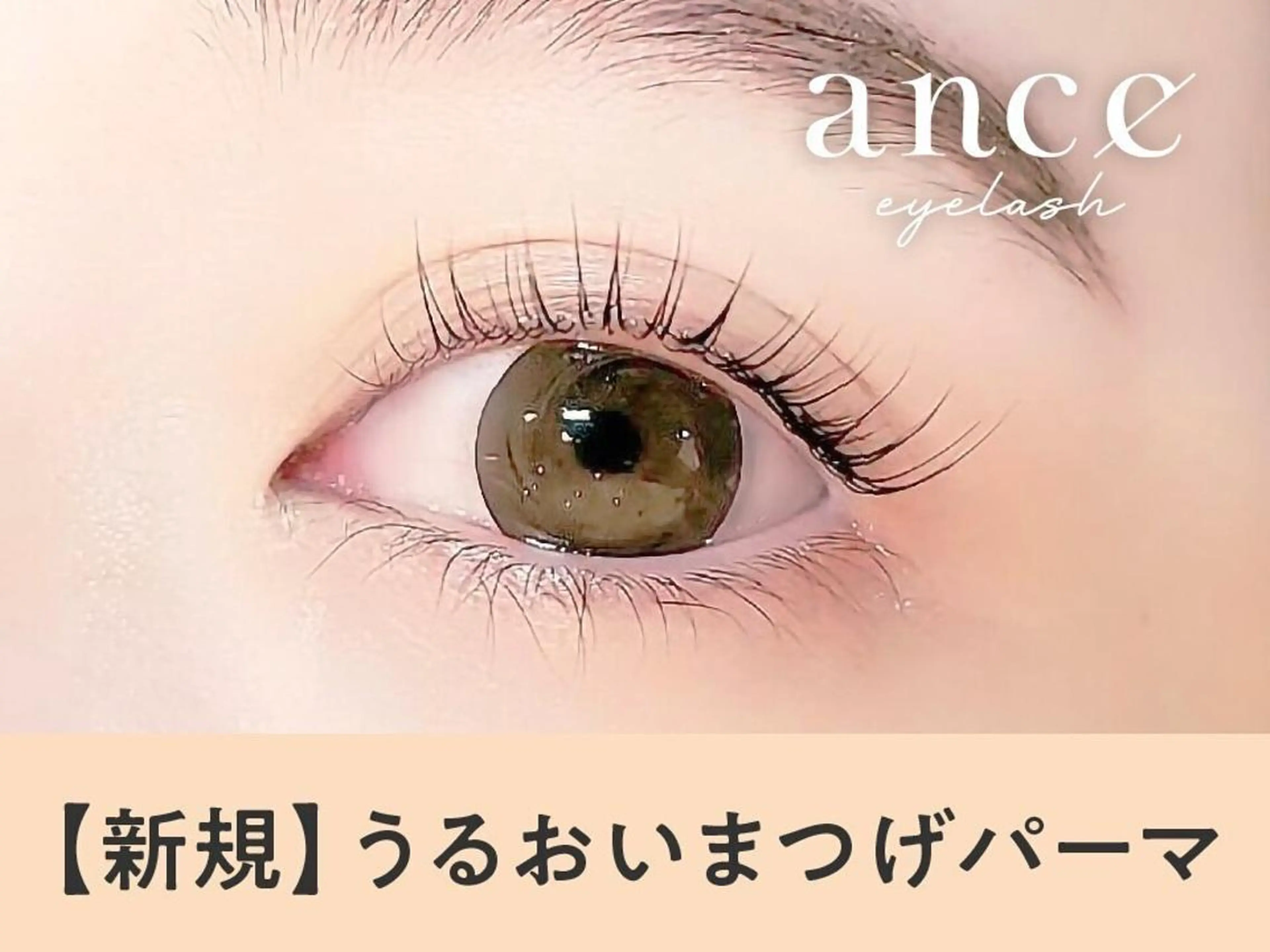 《新規》潤いまつげパーマ　【2200円】[静岡]の写真