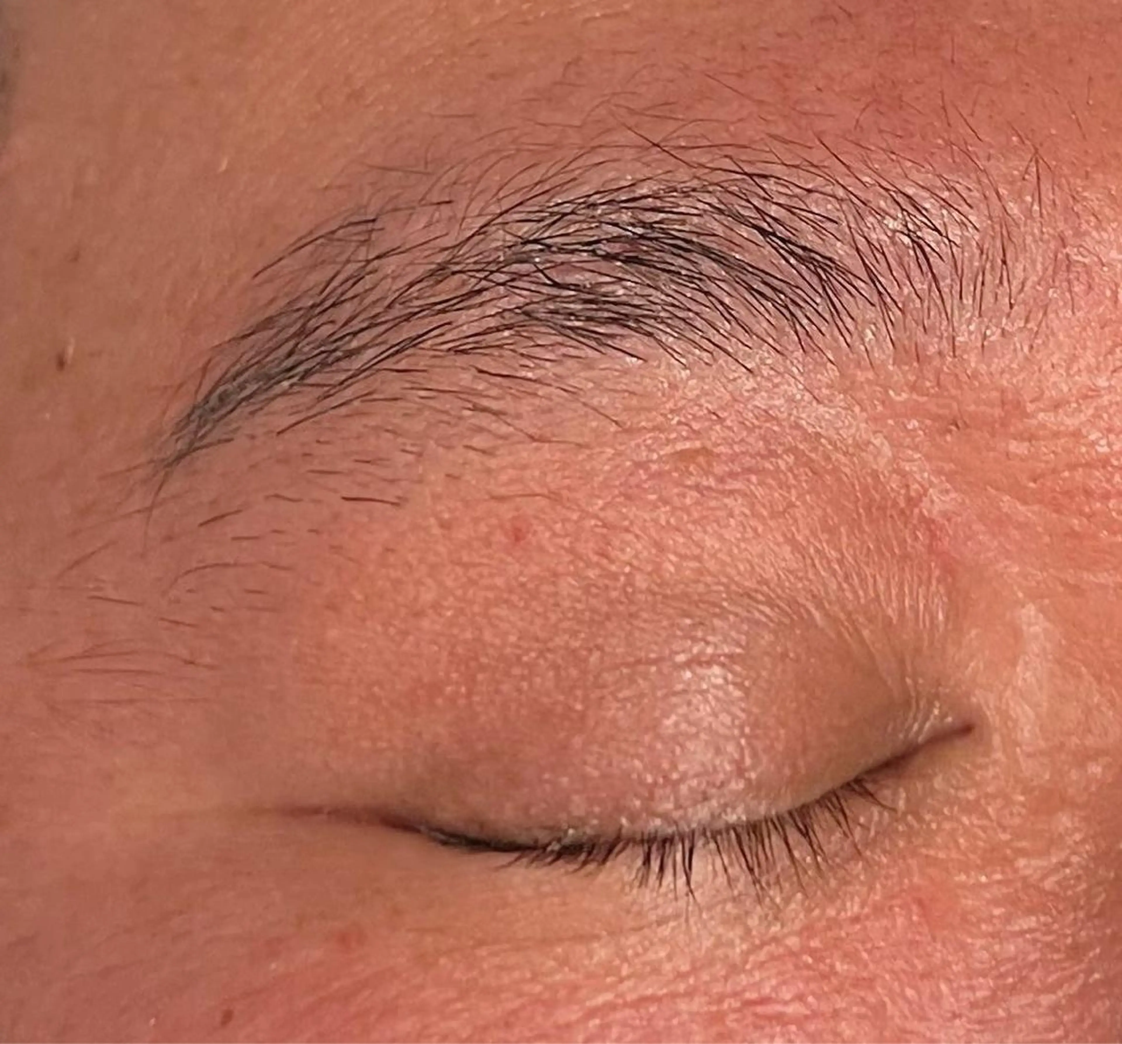 アイブロウ 眉カラー ワックス脱毛 眉カット その他(アイブロウ) DEST所属・吉野 瑳桜のヘアスタイル