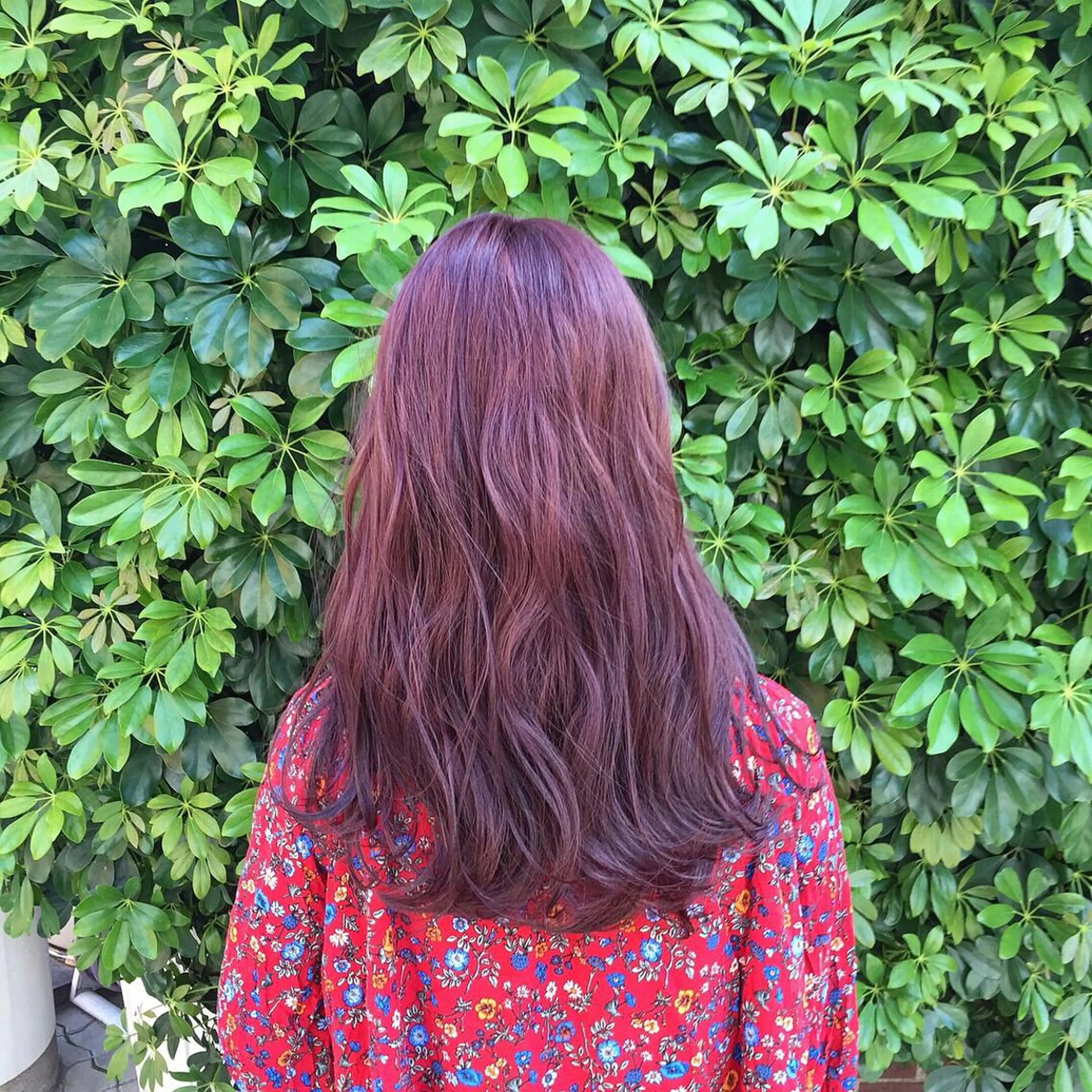 セミロング ピンクラベンダー Eir-noah-【エイルノア】所属・Eir-noah- 代表naoyaのヘアスタイル