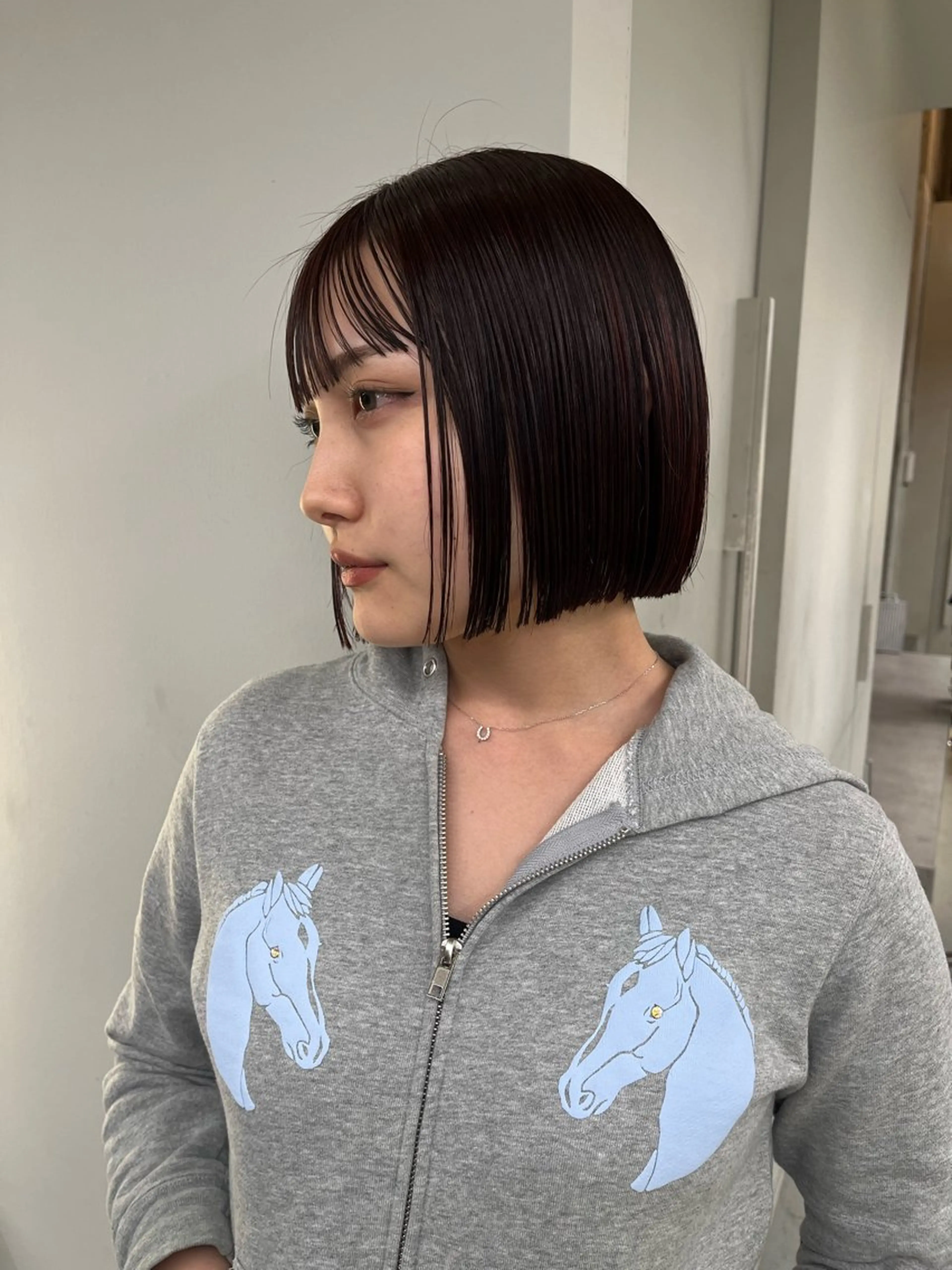 ワンカラーの写真