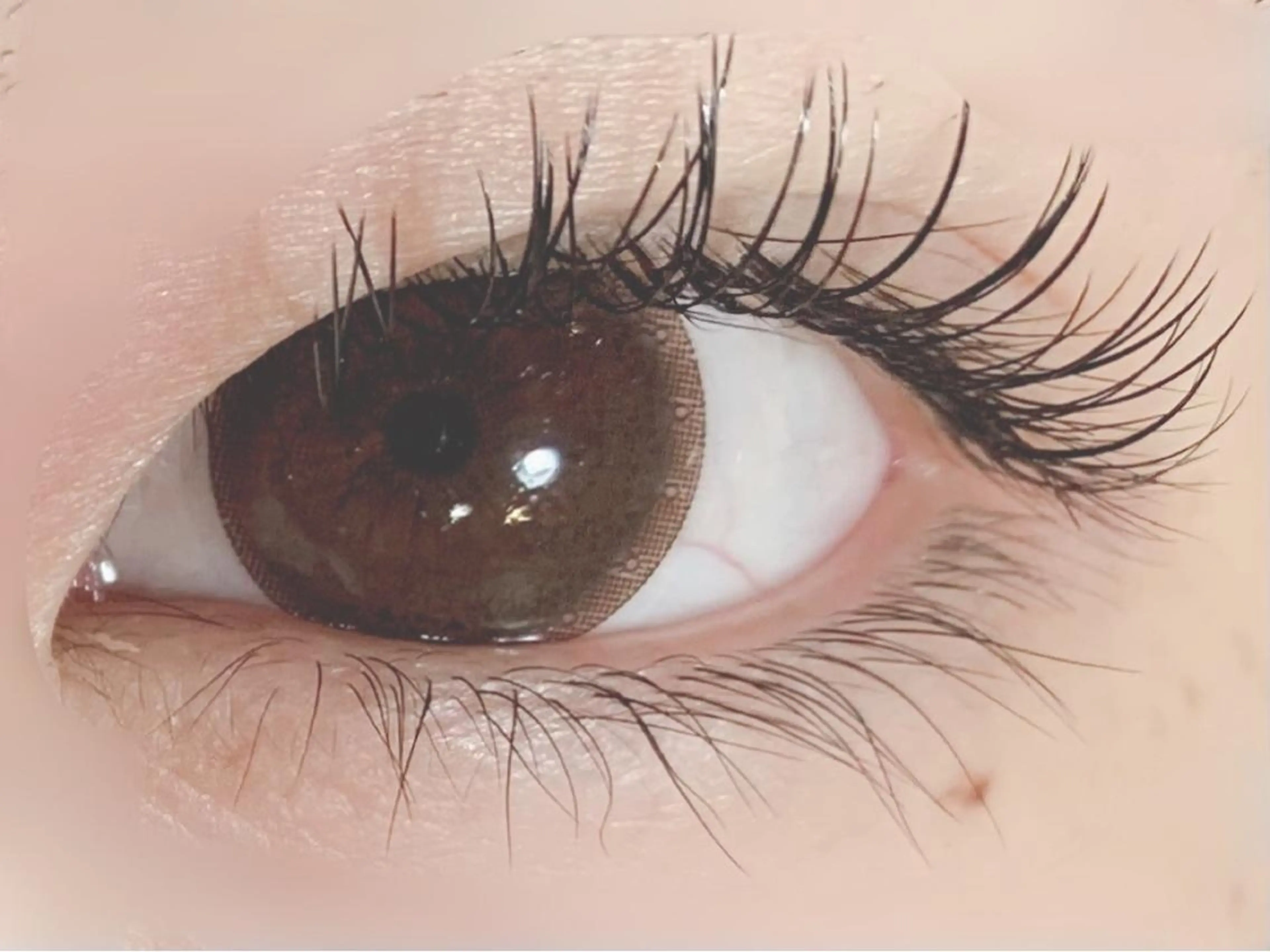 マツエク・マツパ フラットラッシュ CLOVER一宮店所属・岩佐 朋香のマツエク・マツパデザイン