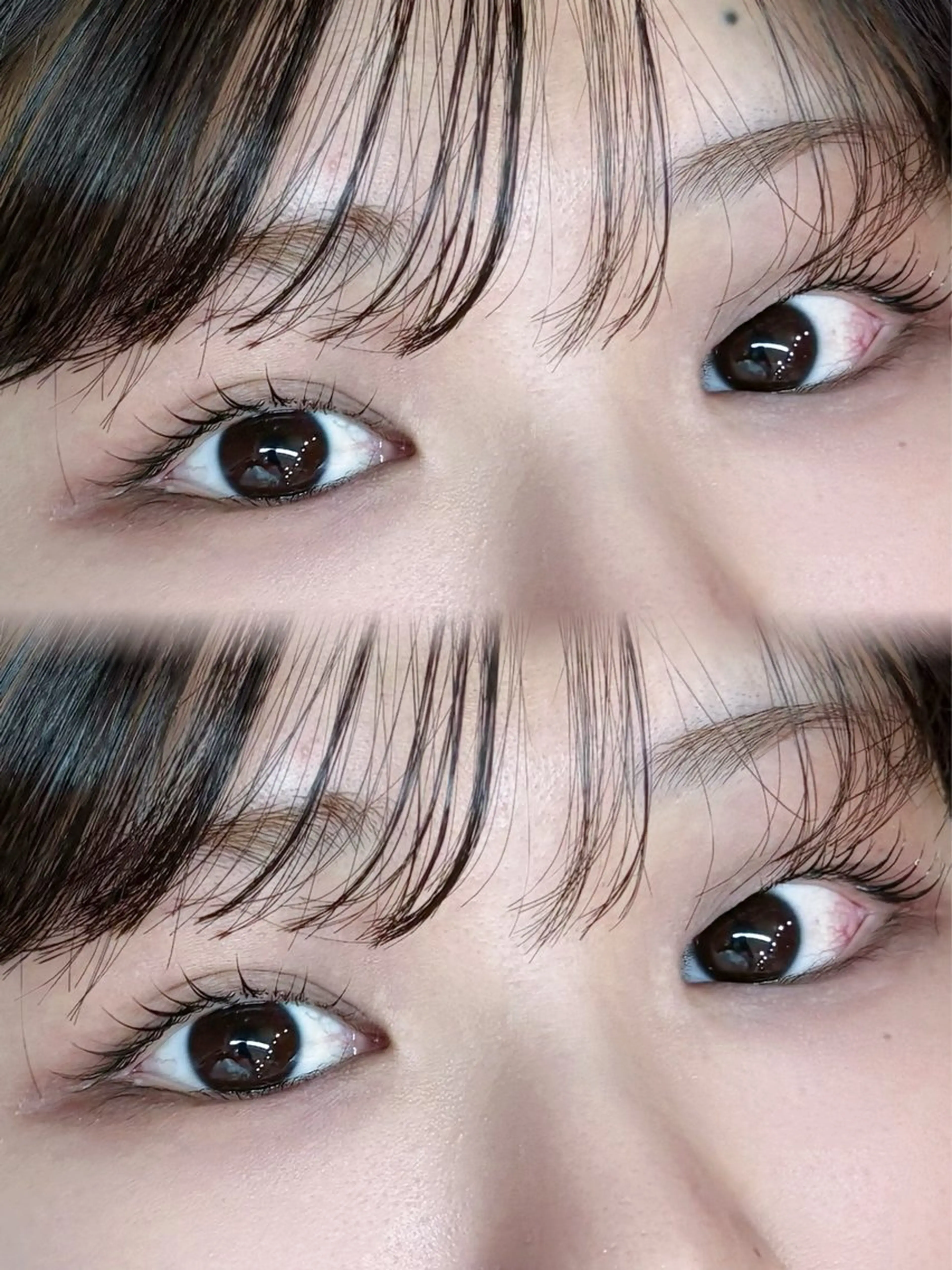 ããŸã€ãããŒãð«§ãããã100çš®é¡ä»¥äžããðã®åç