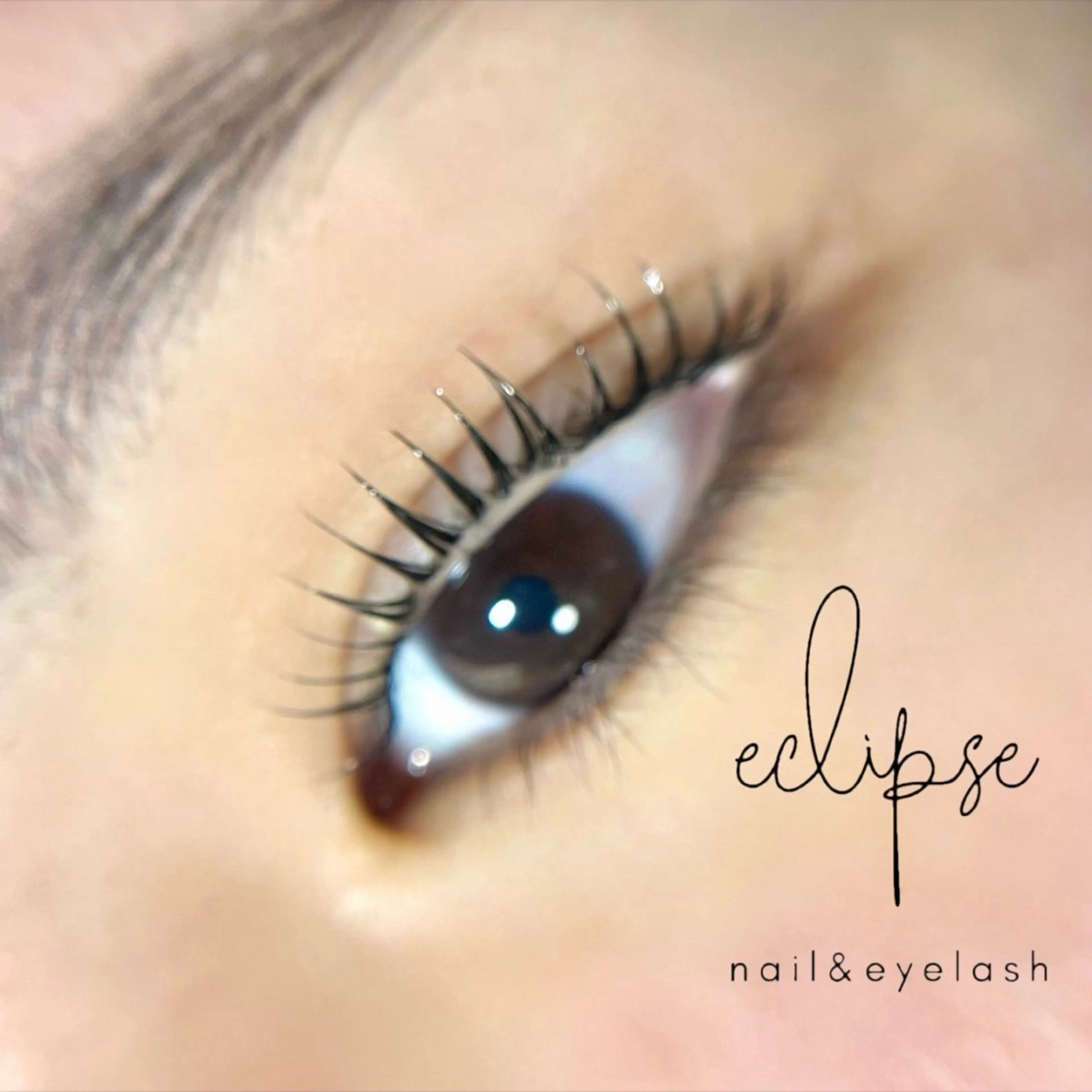マツエク・マツパ マツパ eclipse eyelashのマツエク・マツパデザイン