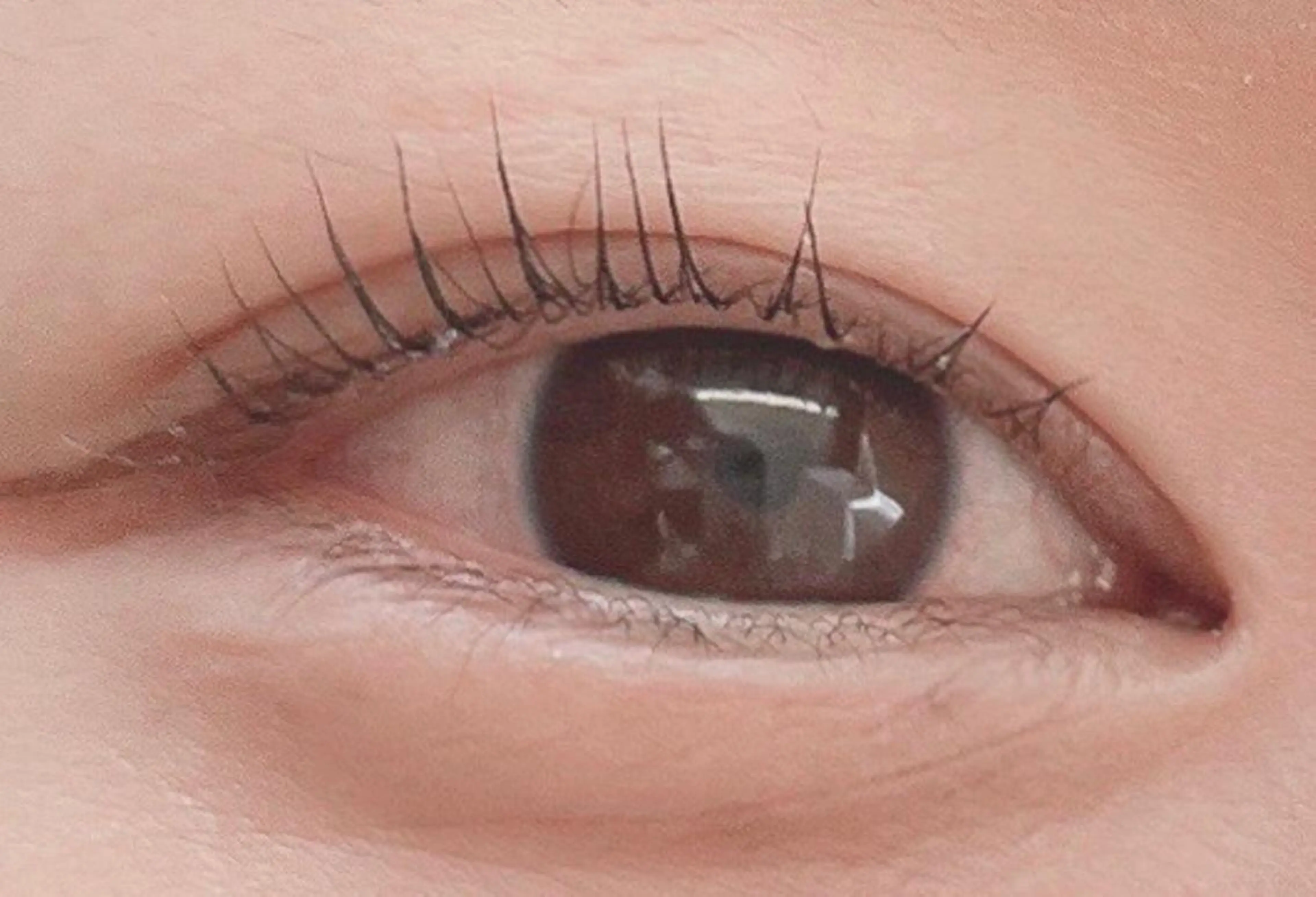 マツエク・マツパ マツパ handsemu EYELASHの眉毛・アイブロウイメージ