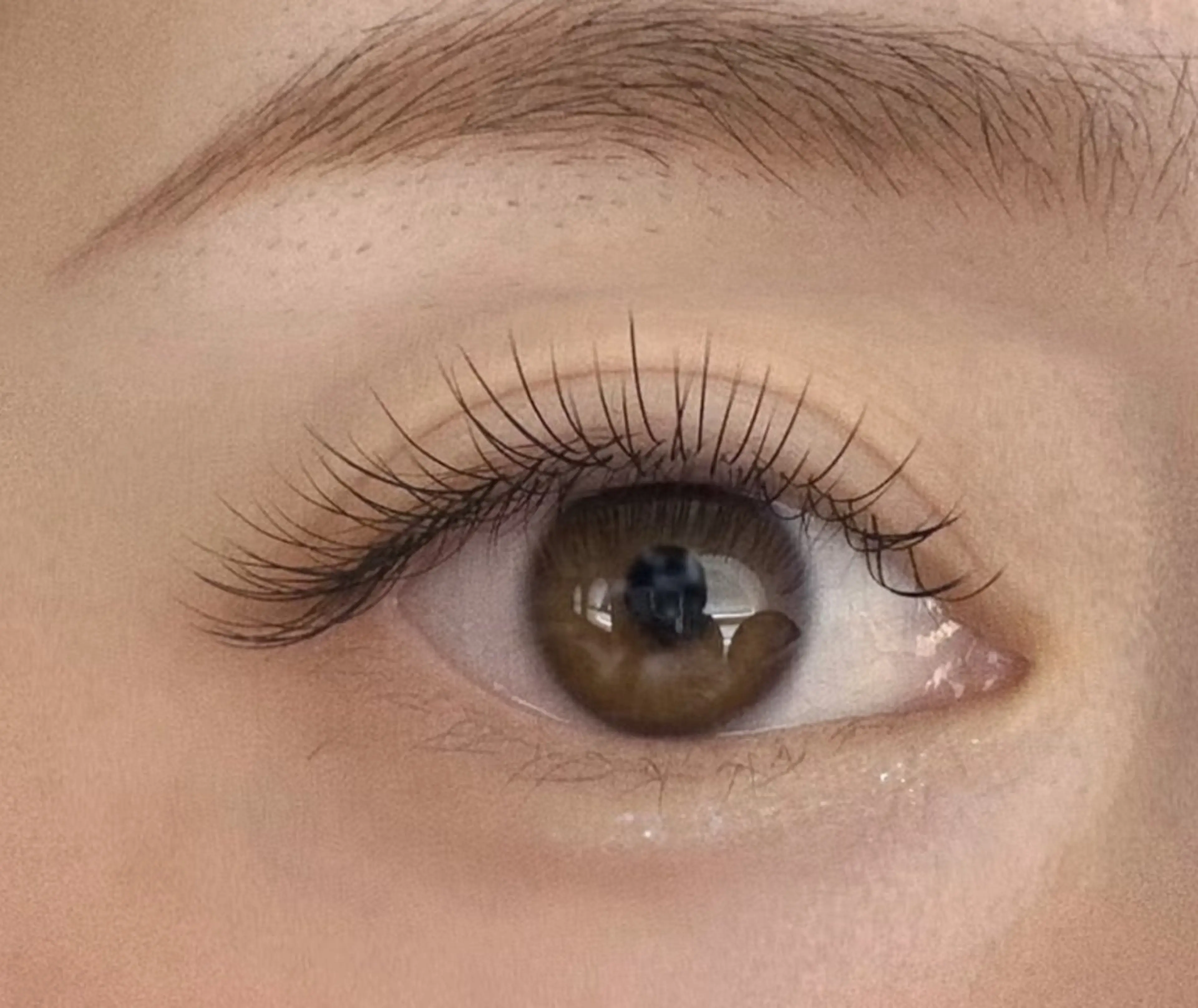 フラットラッシュ80本の写真