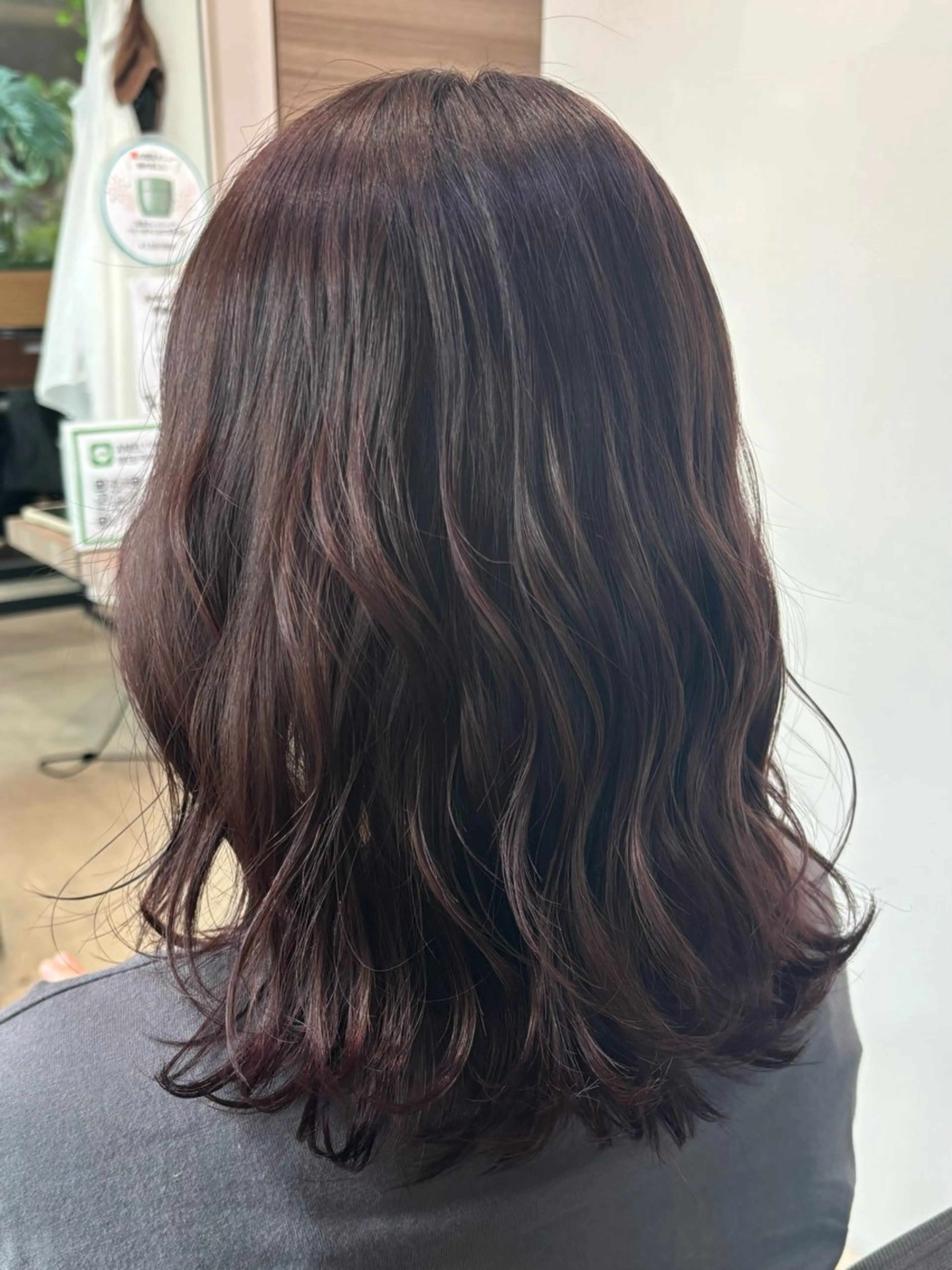 カラー ブラウンカラー ラベンダーカラー AMELY　寺田 朱里のヘアスタイル