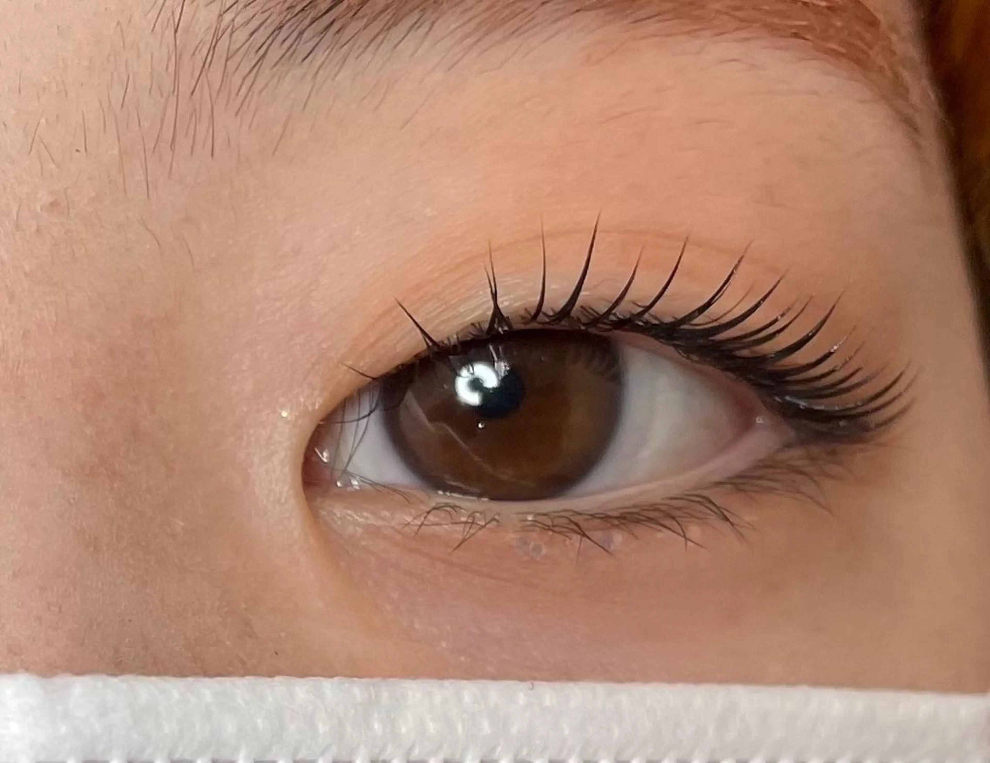 マツエク・マツパ eyelash  salon fまつエク・まつげパーマ【フランク】所属・eyelash f　香里園のマツエク・マツパデザイン