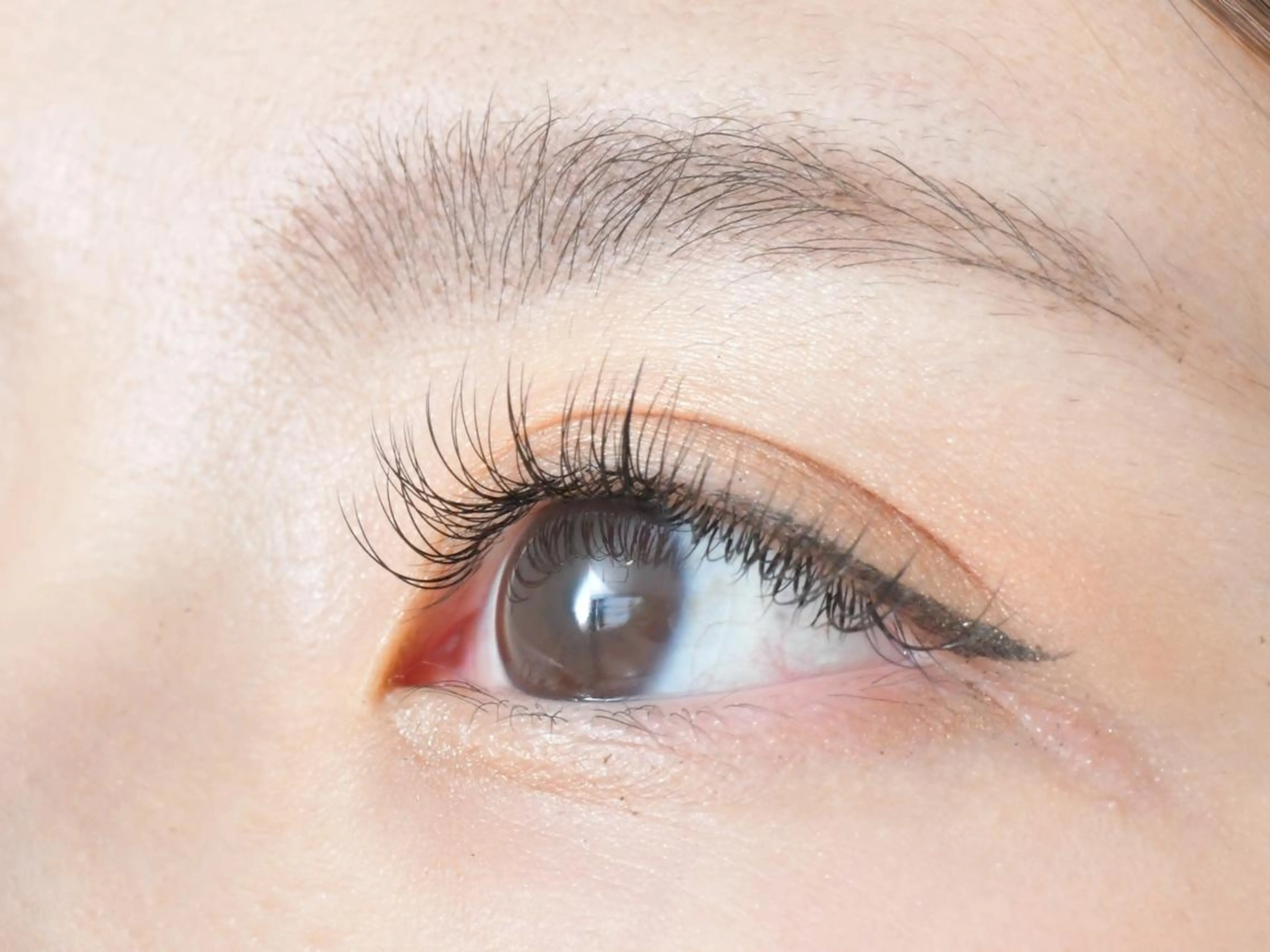 マツエク・マツパ フラットラッシュ ナチュラル セーブル 🫧Ramo 大宮店🍒のマツエク・マツパデザイン