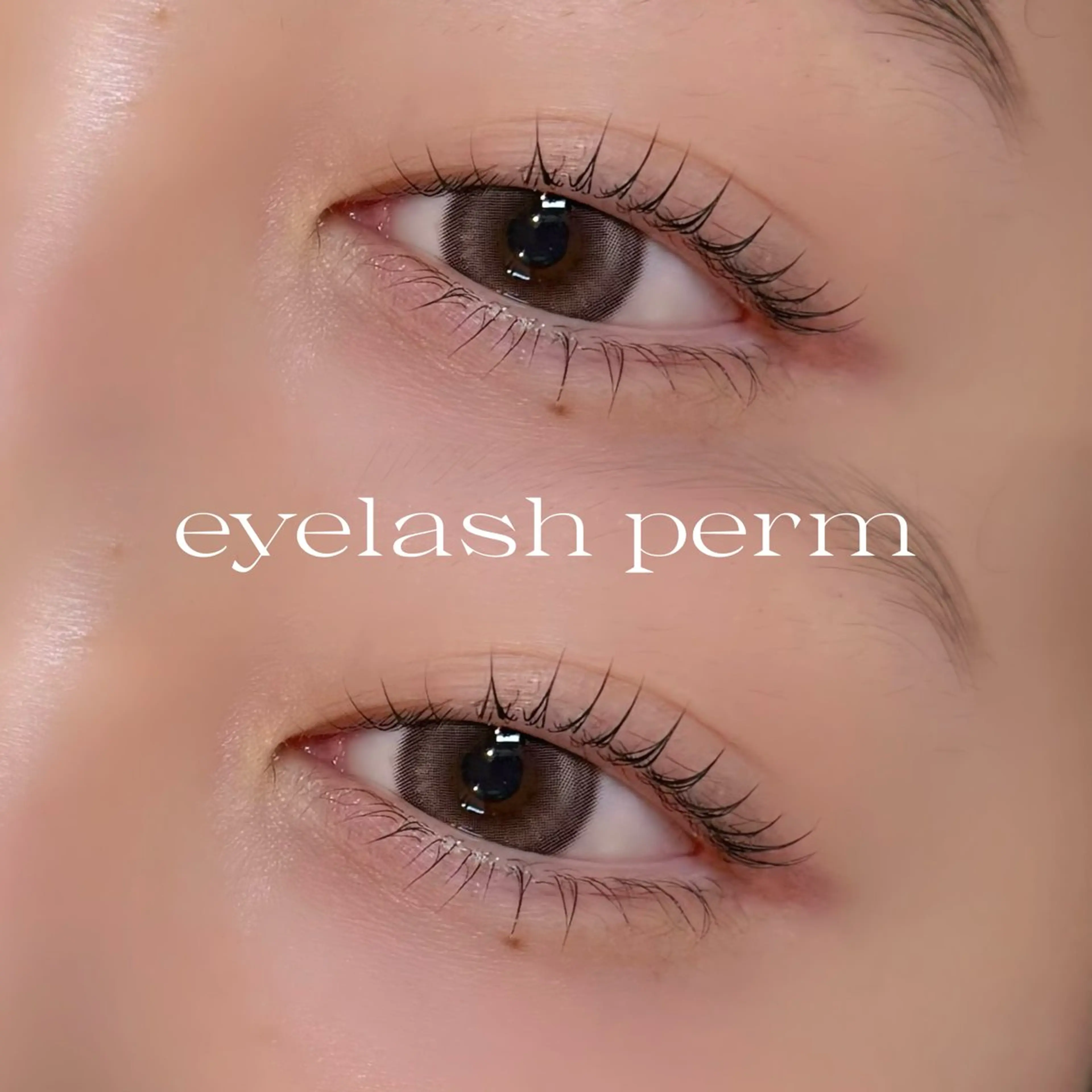 マツエク・マツパ 【RIO】 ALRE♡小山店の眉毛・アイブロウイメージ