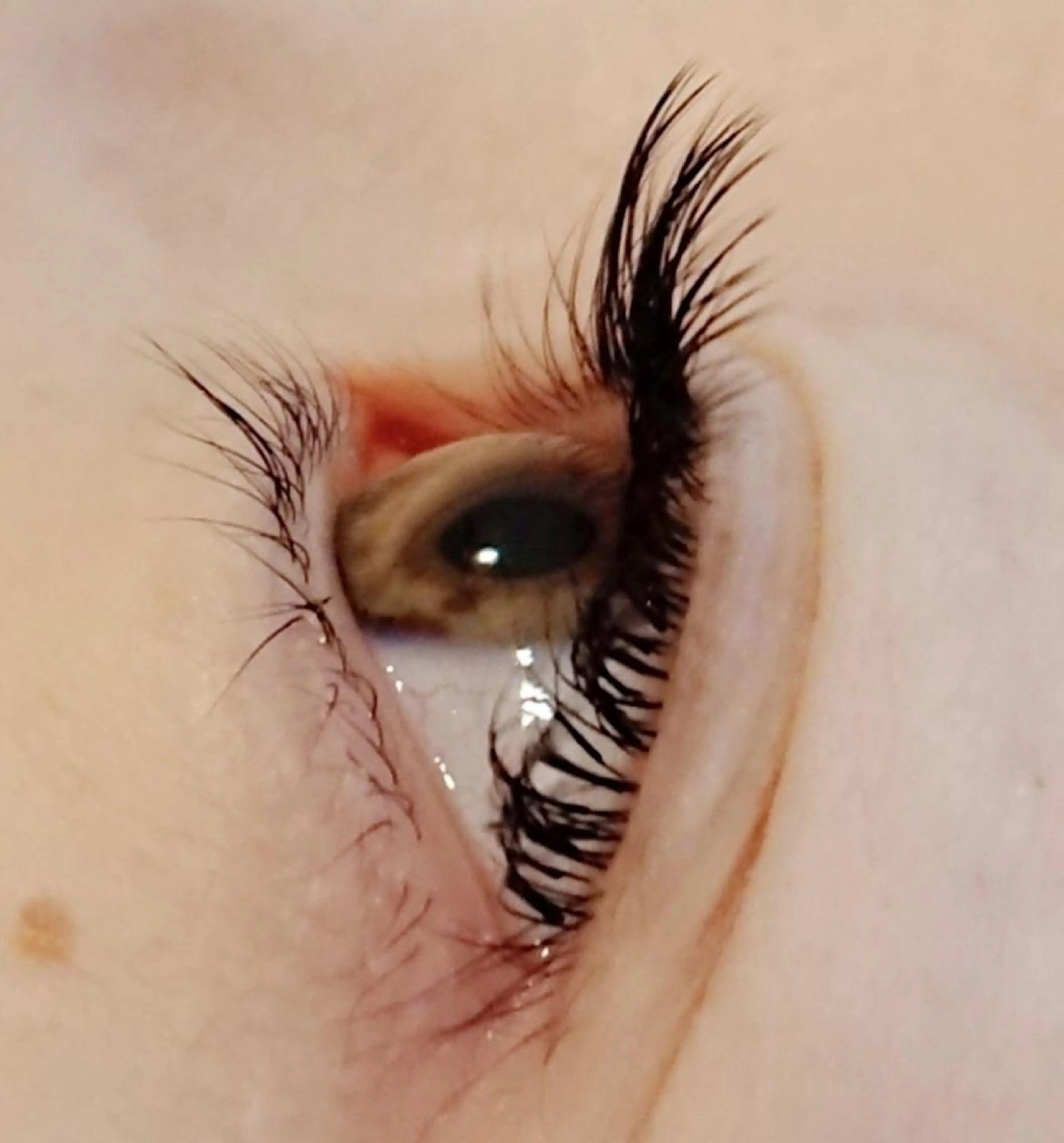 マツエク・マツパ 下まつげエクステ マツエク まつげと眉のお店　Nerine【ネリネ】所属・まつげと眉のお店 Nerineのマツエク・マツパデザイン