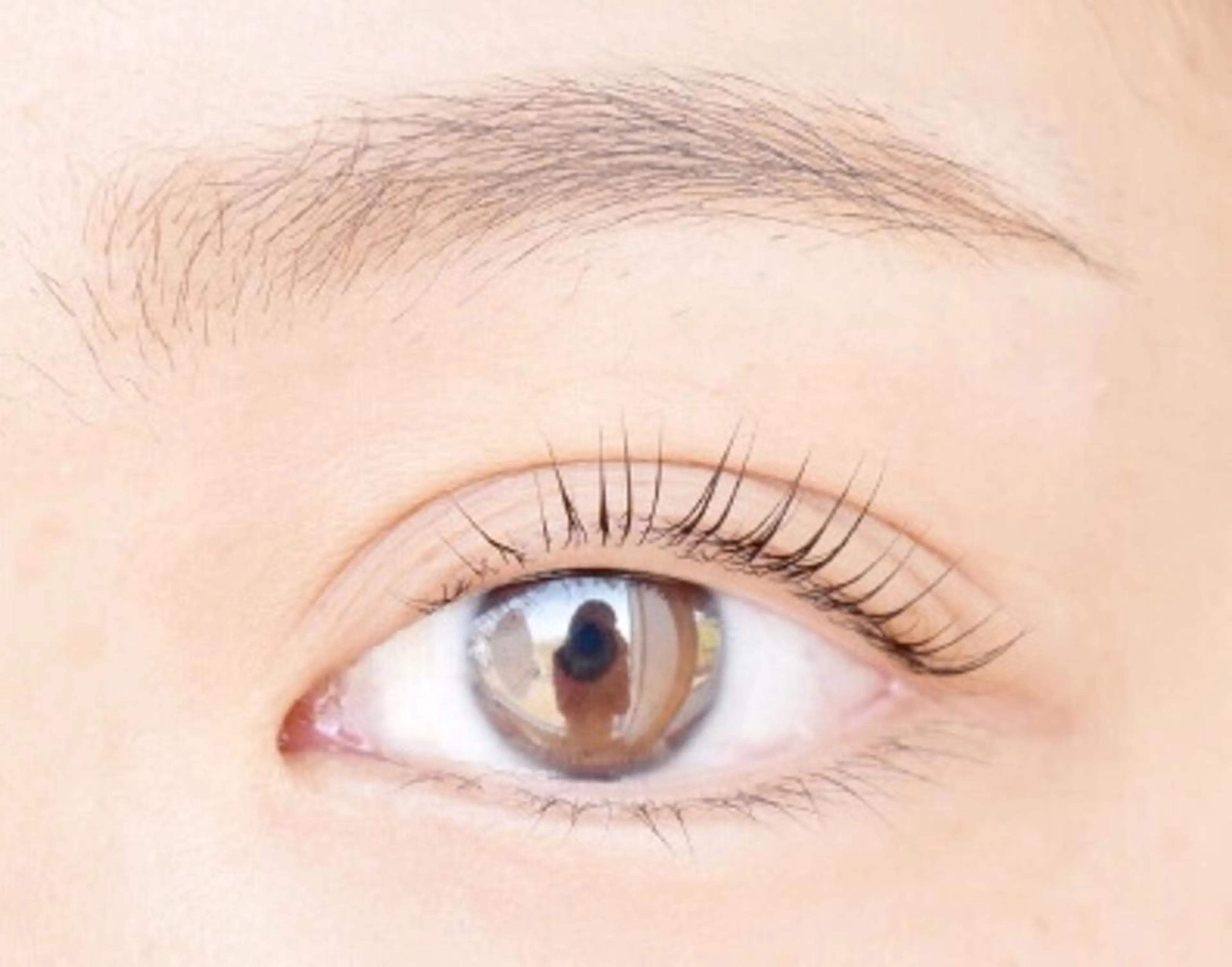 マツエク・マツパ パリジェンヌラッシュリフト マツパ Bunny eyes NEWOTANI博多のマツエク・マツパデザイン