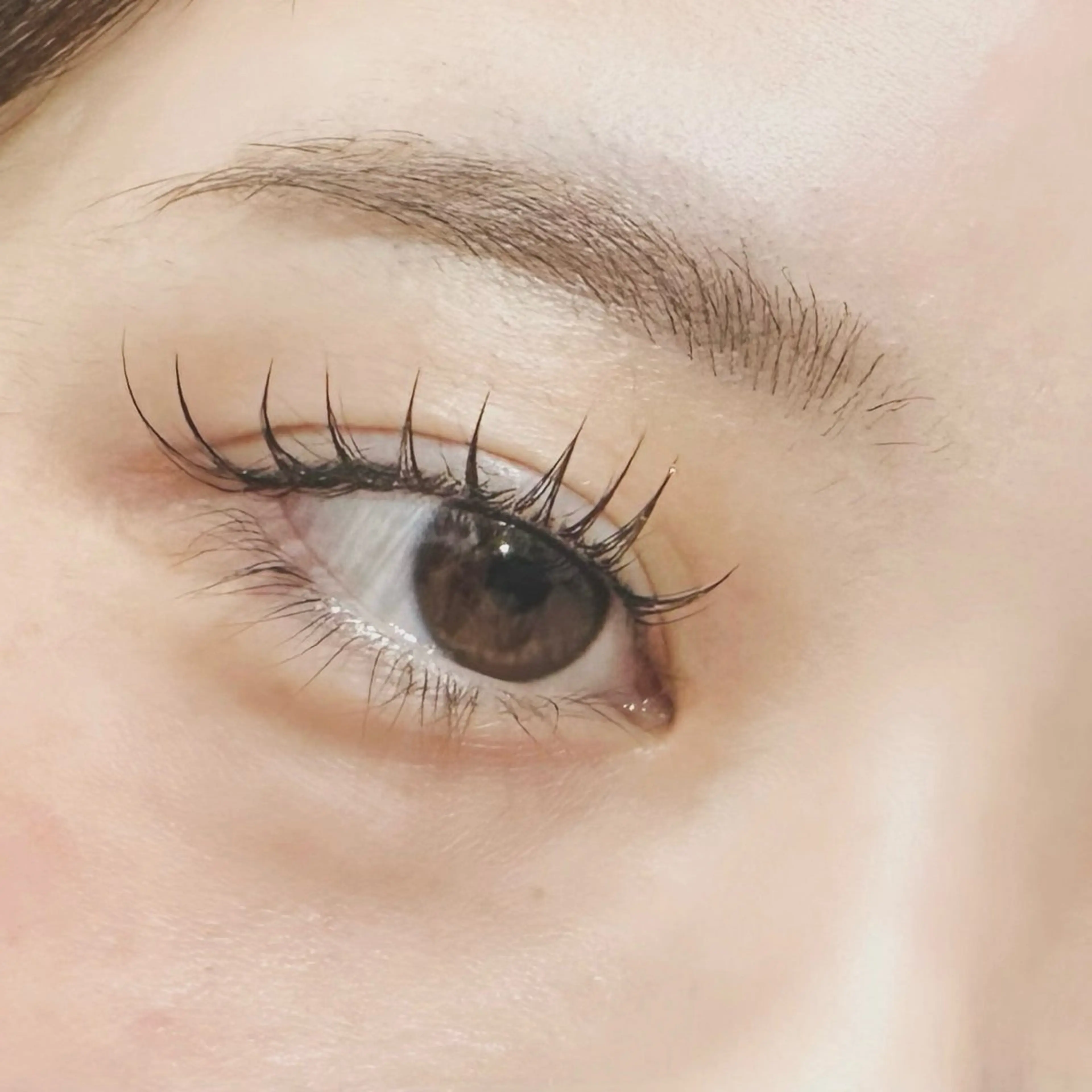 マツエク・マツパ フラットラッシュ まつげパーマ マツエク NINE🕊️ Rihoのマツエク・マツパデザイン