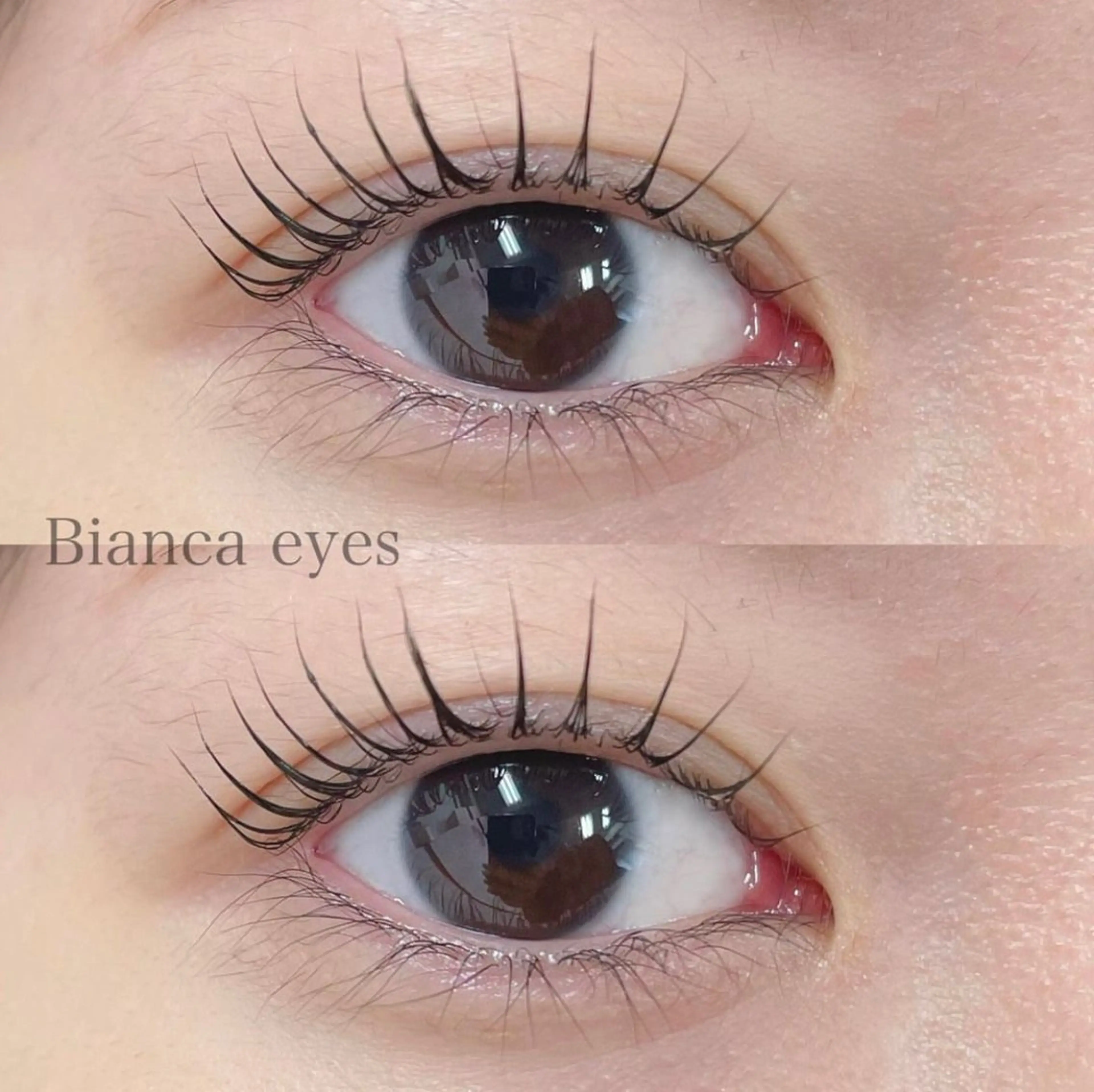 マツエク・マツパ Bianca🤍 HASHIMOTOのマツエク・マツパデザイン