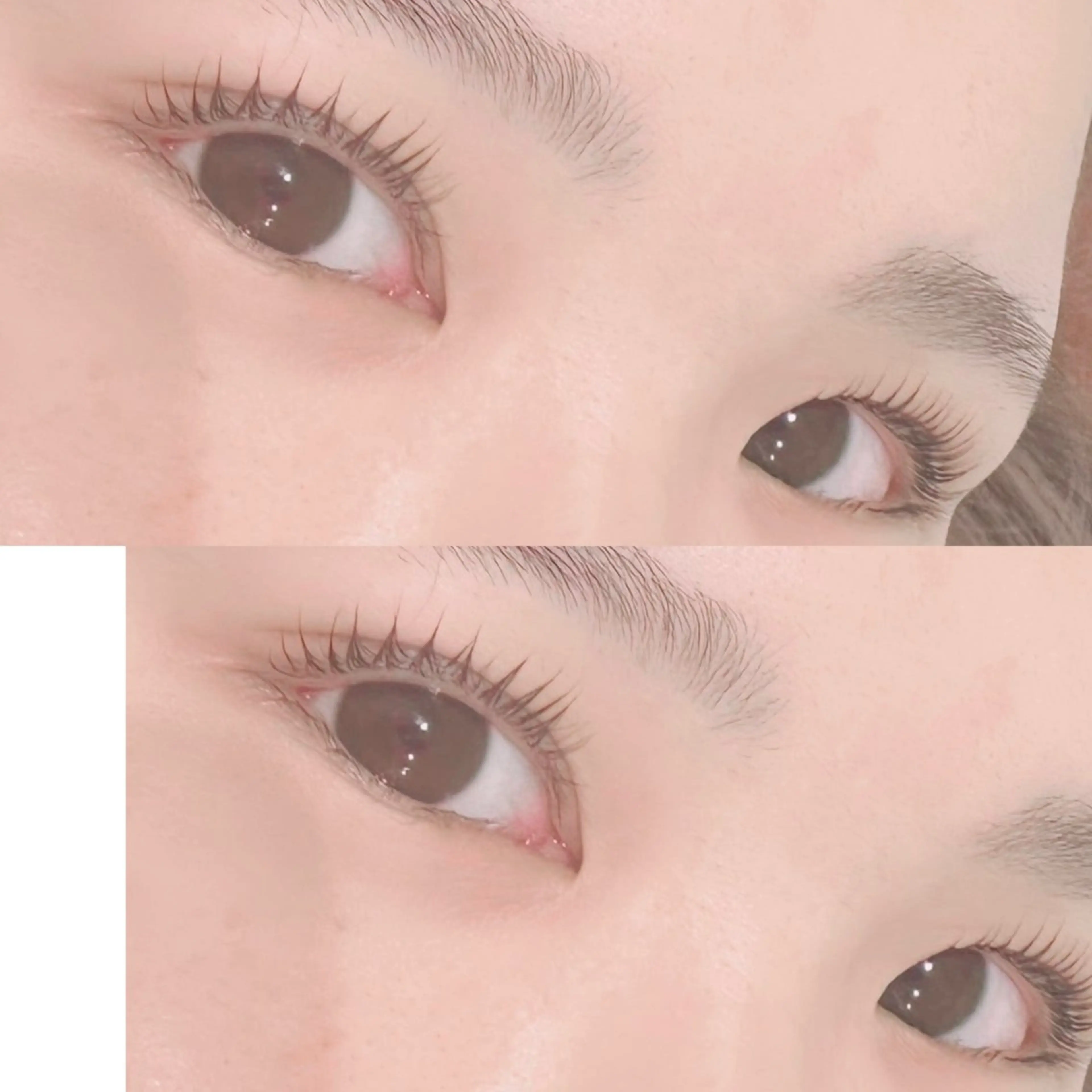 マツエク・マツパ koa【  コア⠀】所属・Koa🦋ma ho🦋のマツエク・マツパデザイン