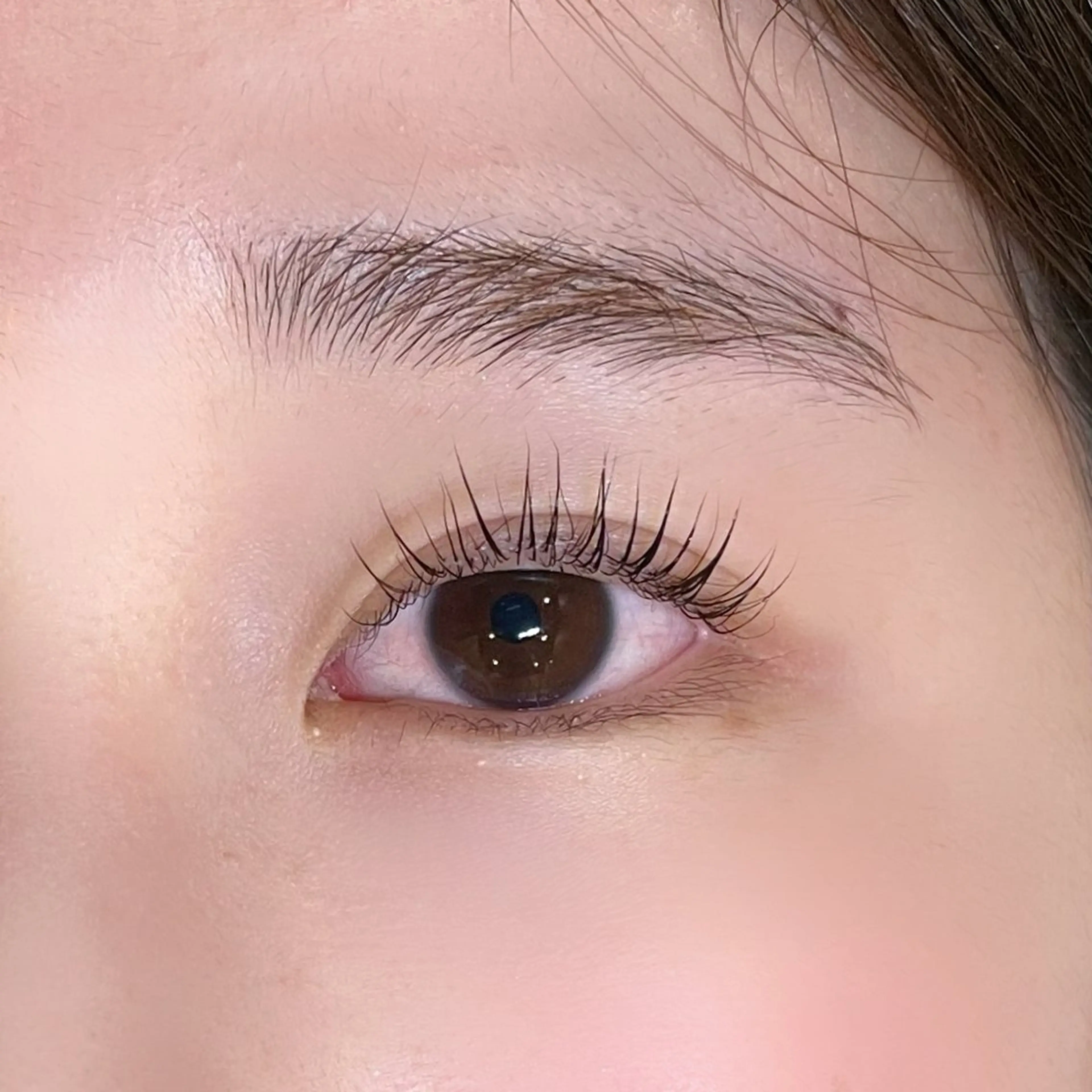 マツエク・マツパ まつげパーマ シュモレフェリーク所属・🍑 MOMOのマツエク・マツパデザイン