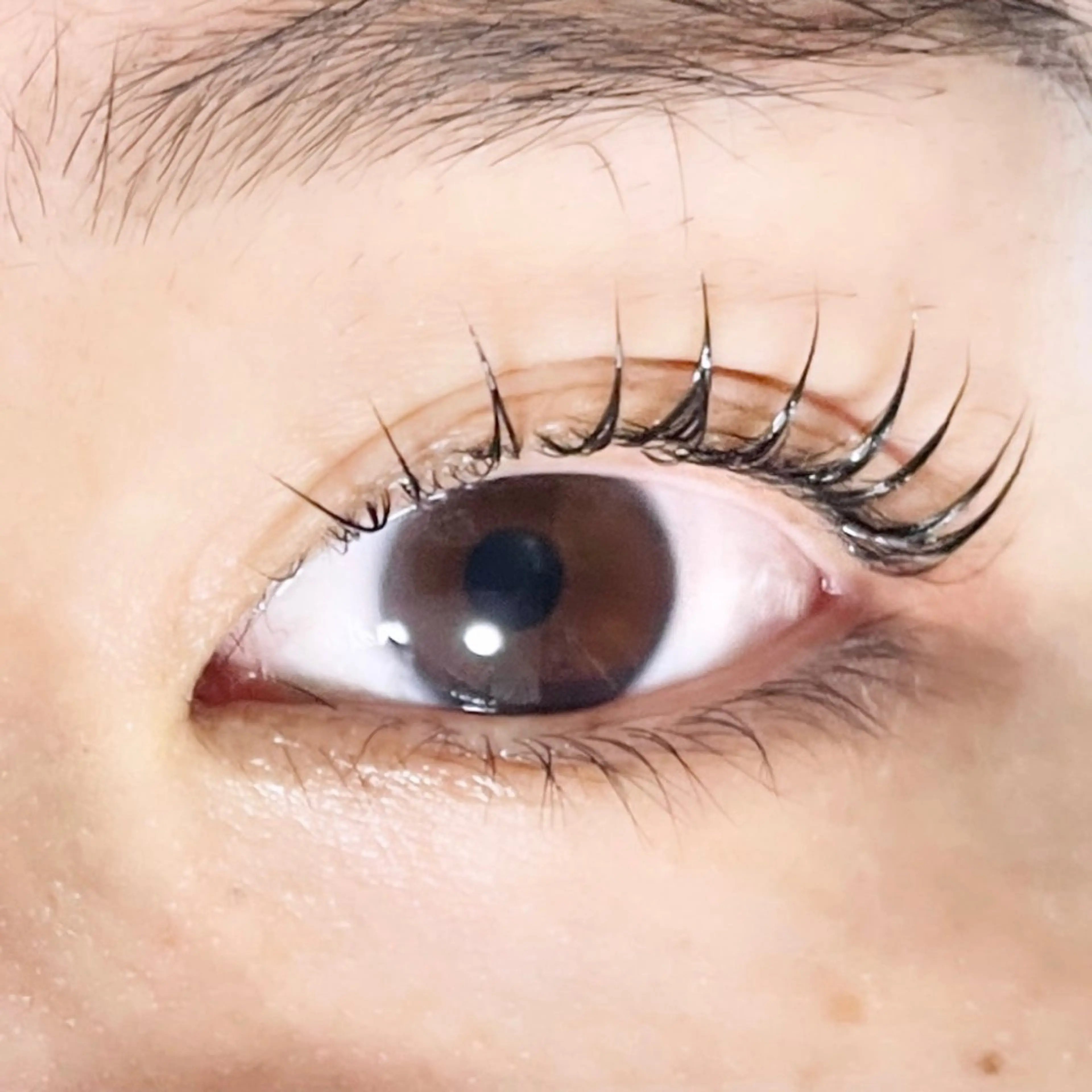 マツエク・マツパ TAKEO🖤 マリーテレジア藤が丘のマツエク・マツパデザイン