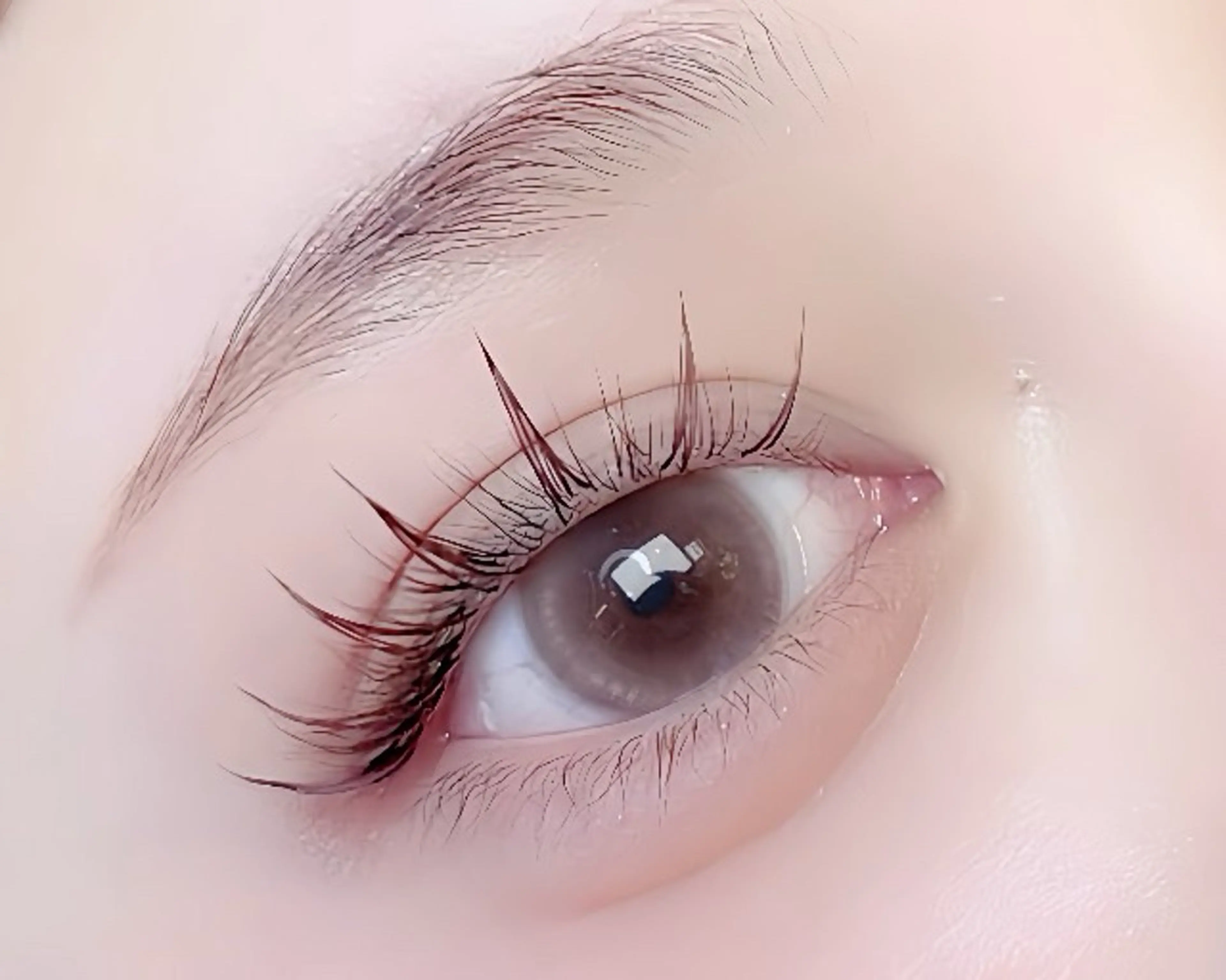 フラットラッシュ 100本 《オフもok》の写真