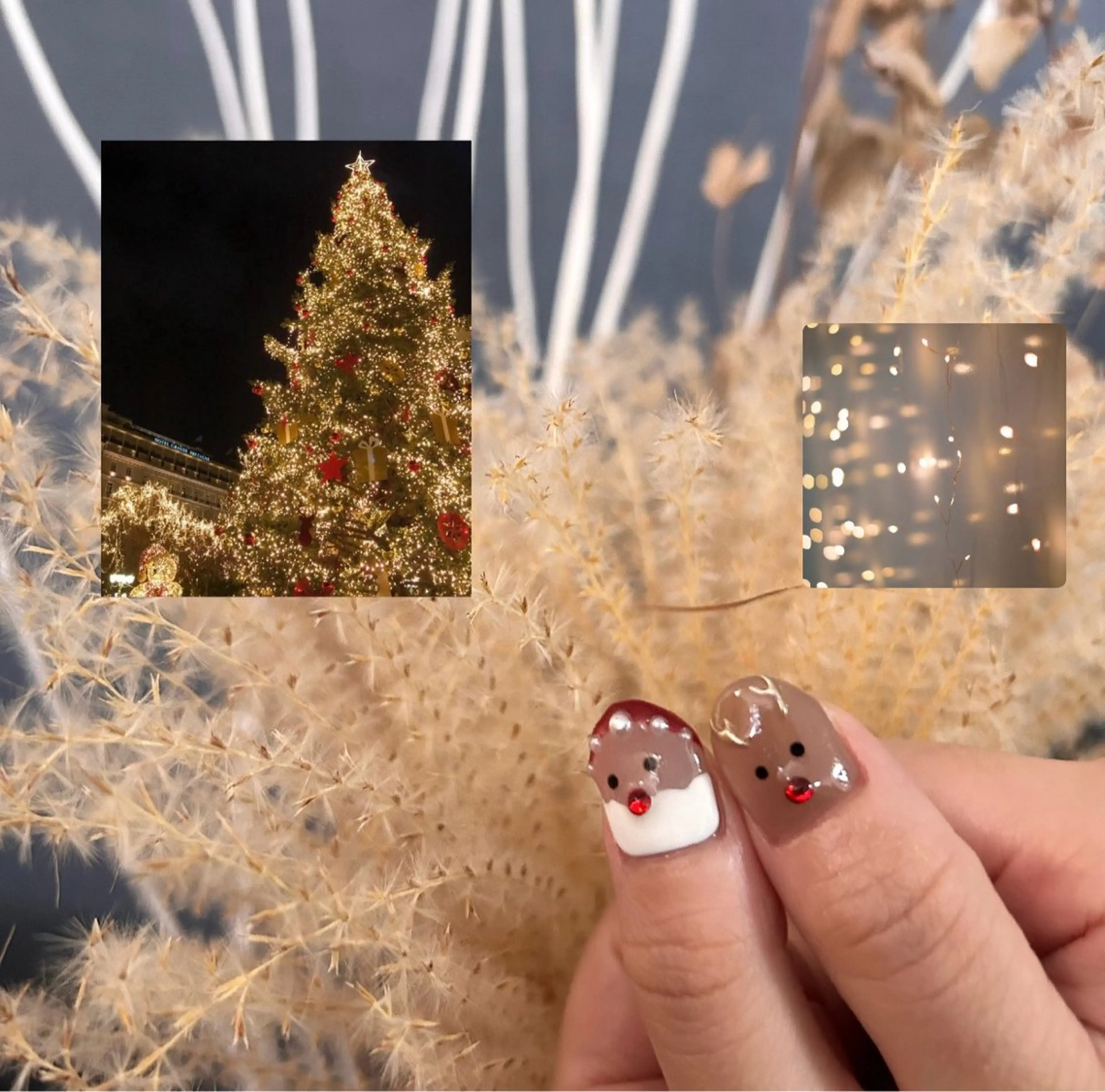 オフなし🌱xmasデザイン🎅🎄4本までの写真