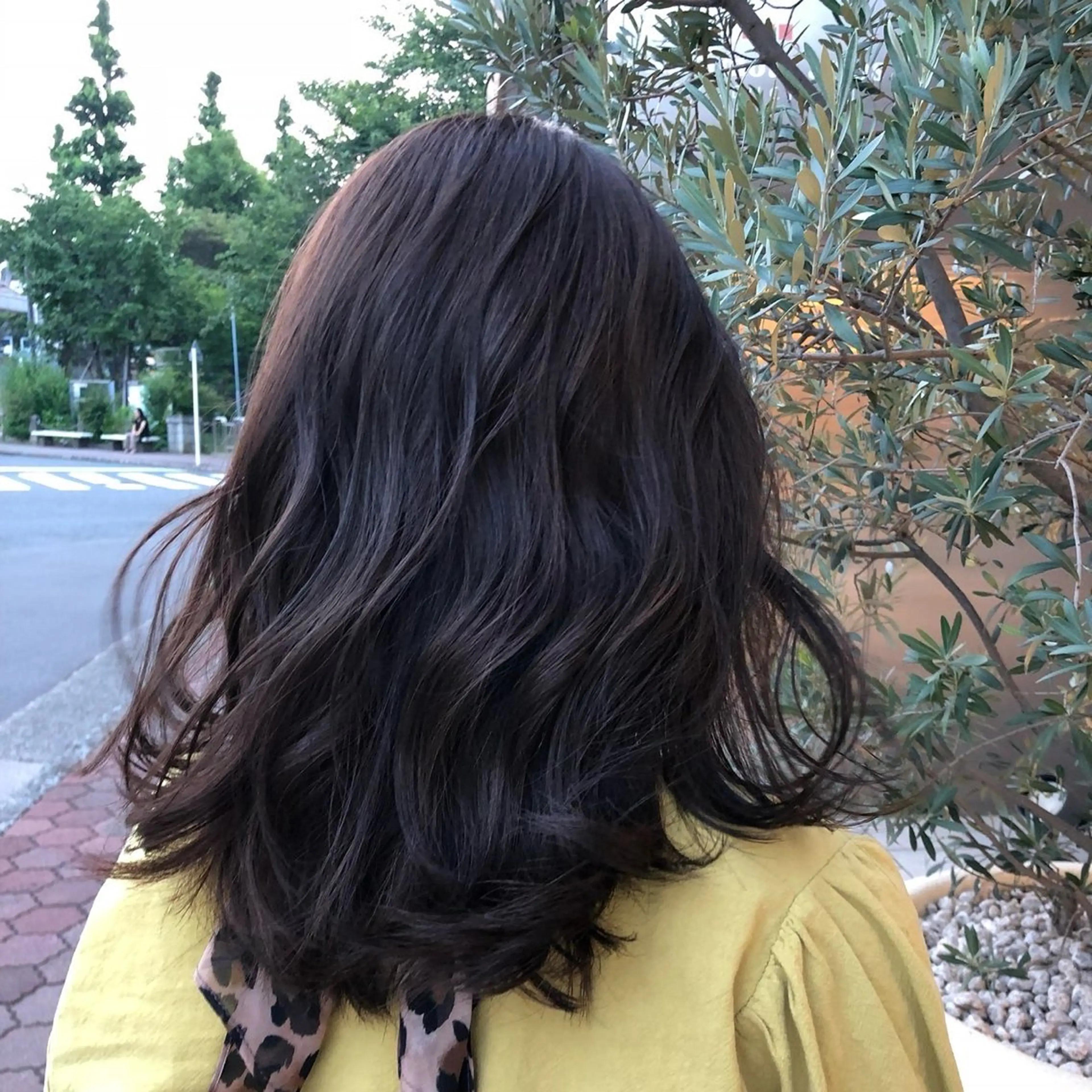 セミロング カット ヘアカラー 縮毛矯正 トリートメント ヘッドスパ ✂︎hiroカットと 縮毛矯正とカラー✂︎のヘアスタイル