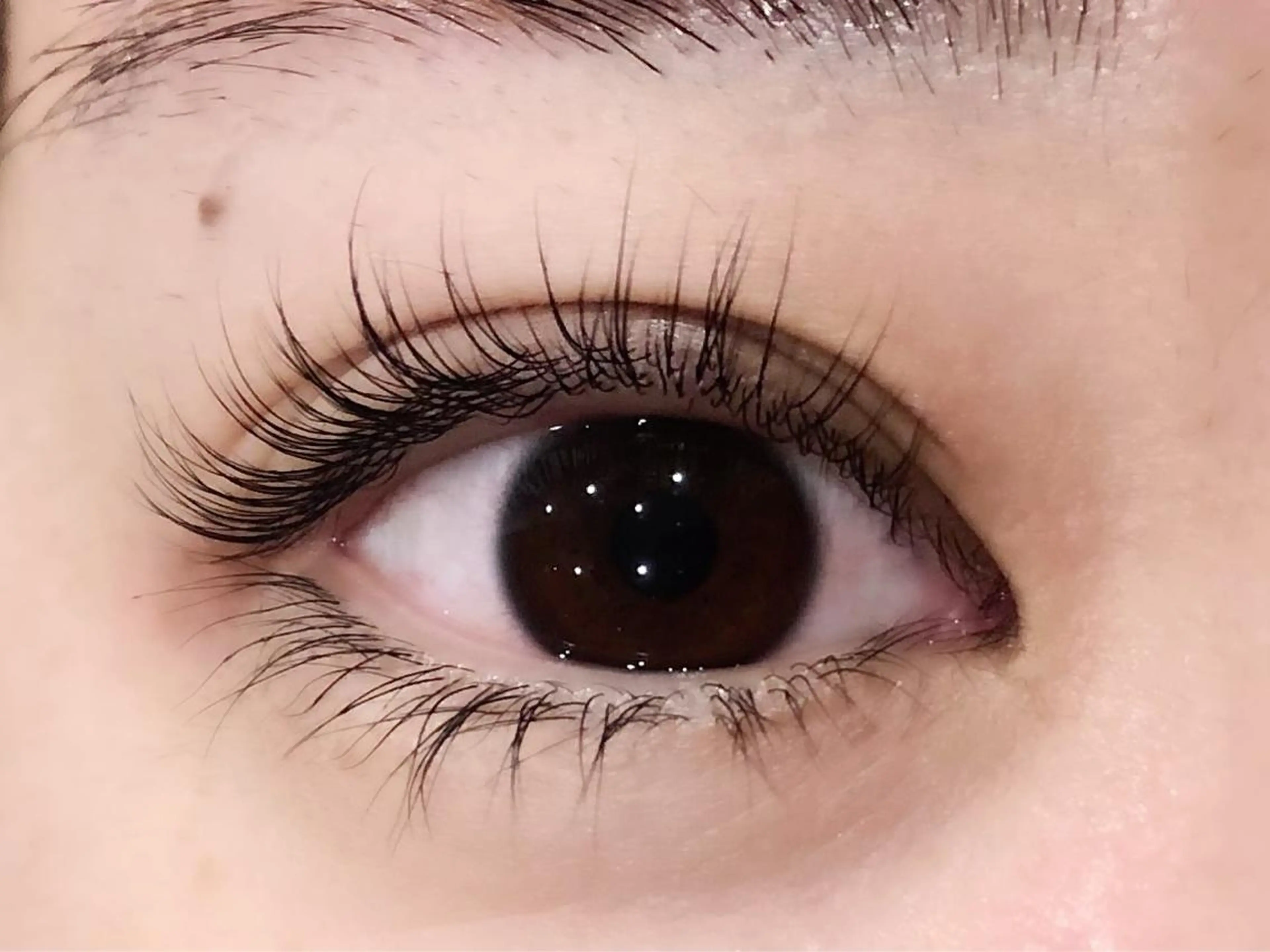 マツエク・マツパ Irima静岡駅前店 松浦のマツエク・マツパデザイン