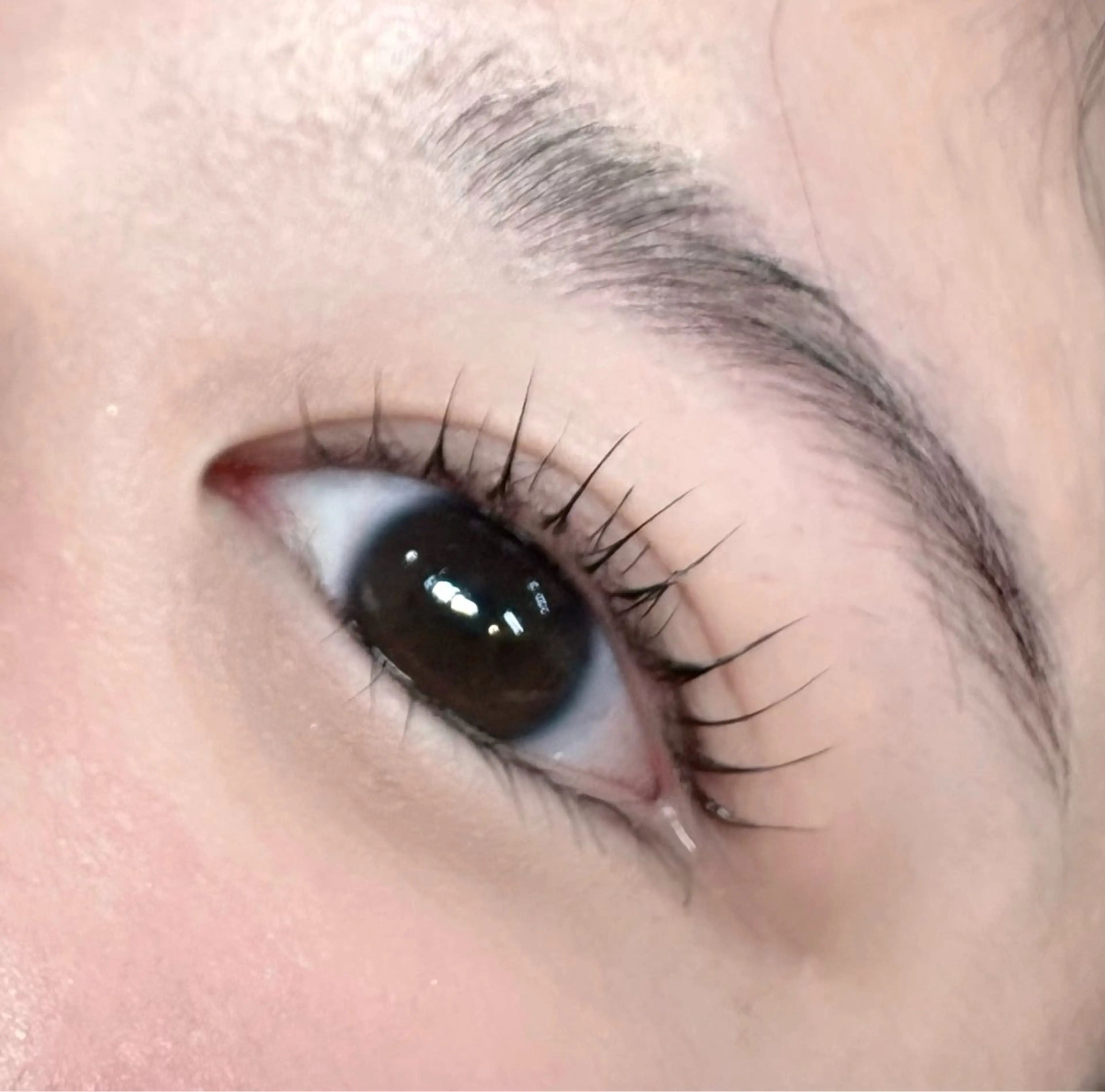 マツエク・マツパ Bianca らんのマツエク・マツパデザイン