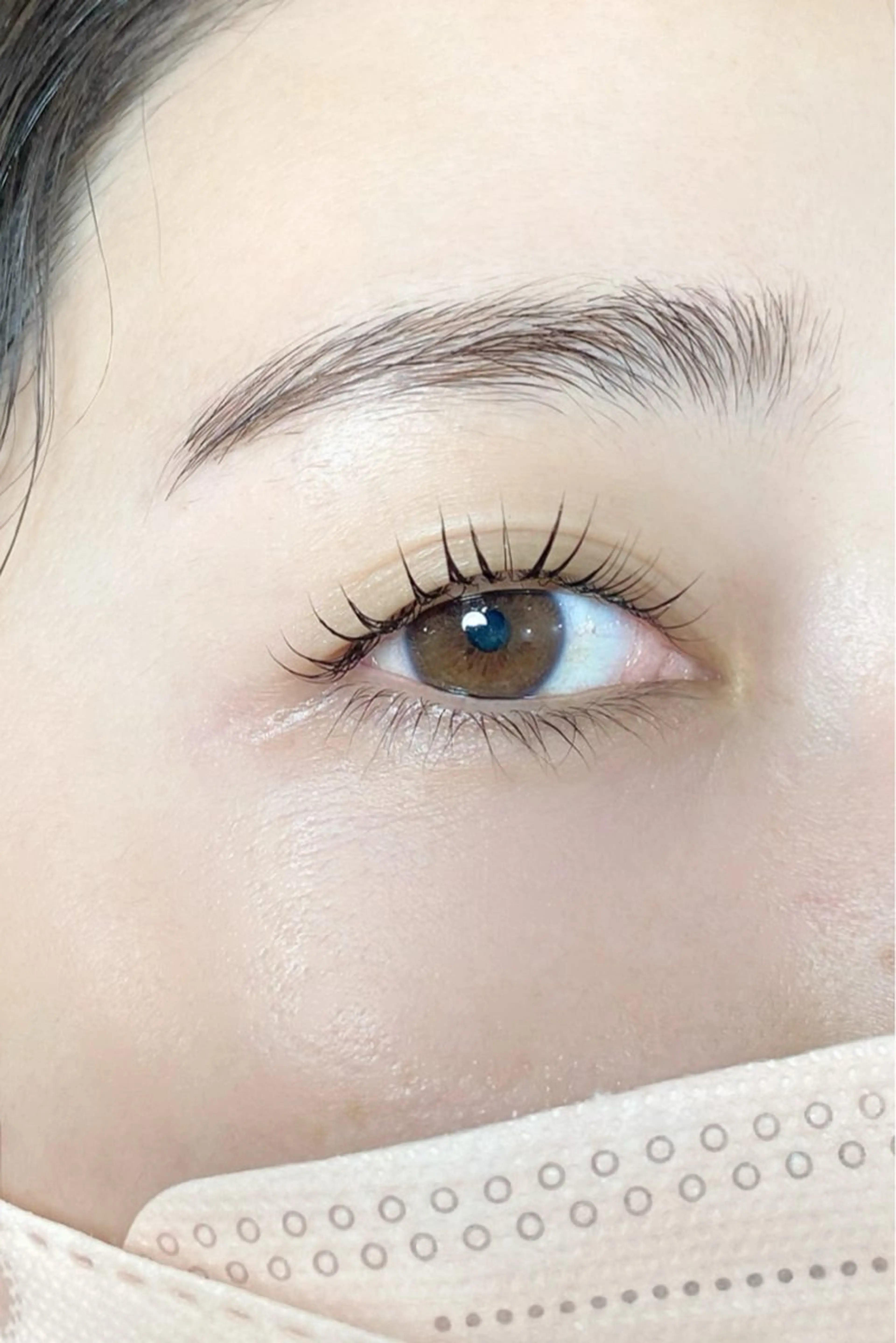 【自眉を生かした】アイブロウワックス×ラッシュリフト(L3)の写真