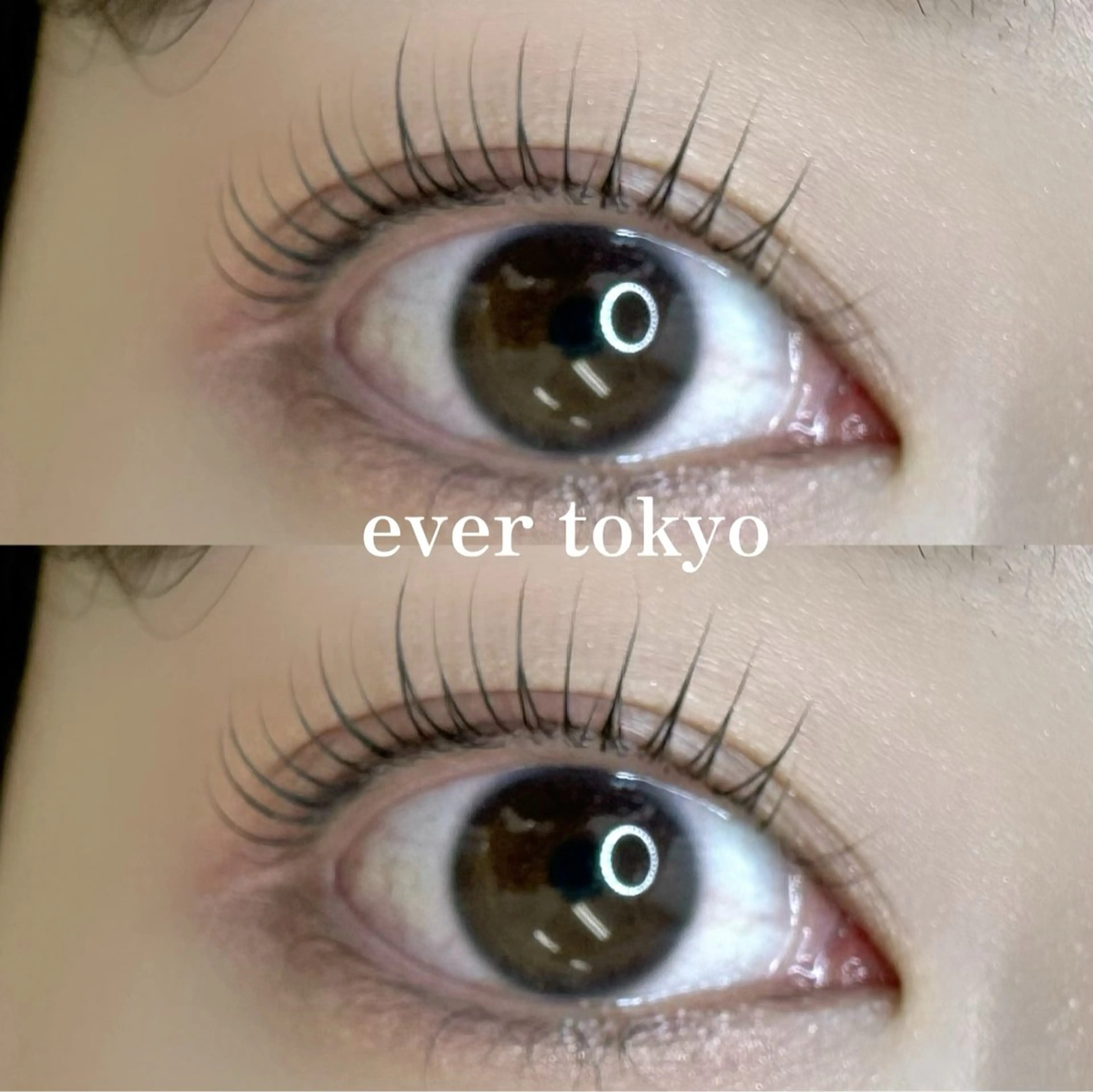 マツエク・マツパ Dカール Beckylash 麻布十番研修センターの眉毛・アイブロウイメージ