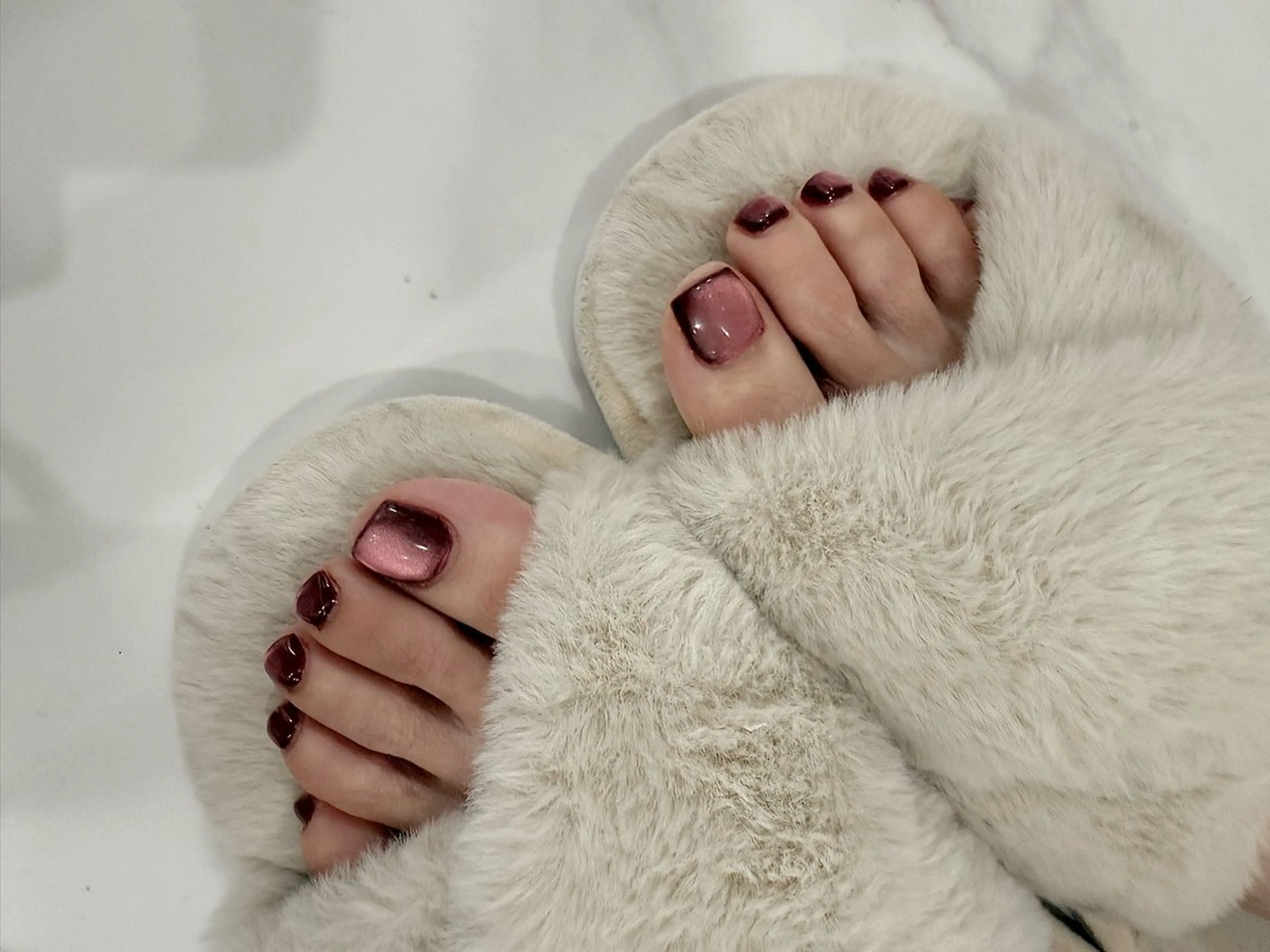 フットマグネット/フラッシュの写真